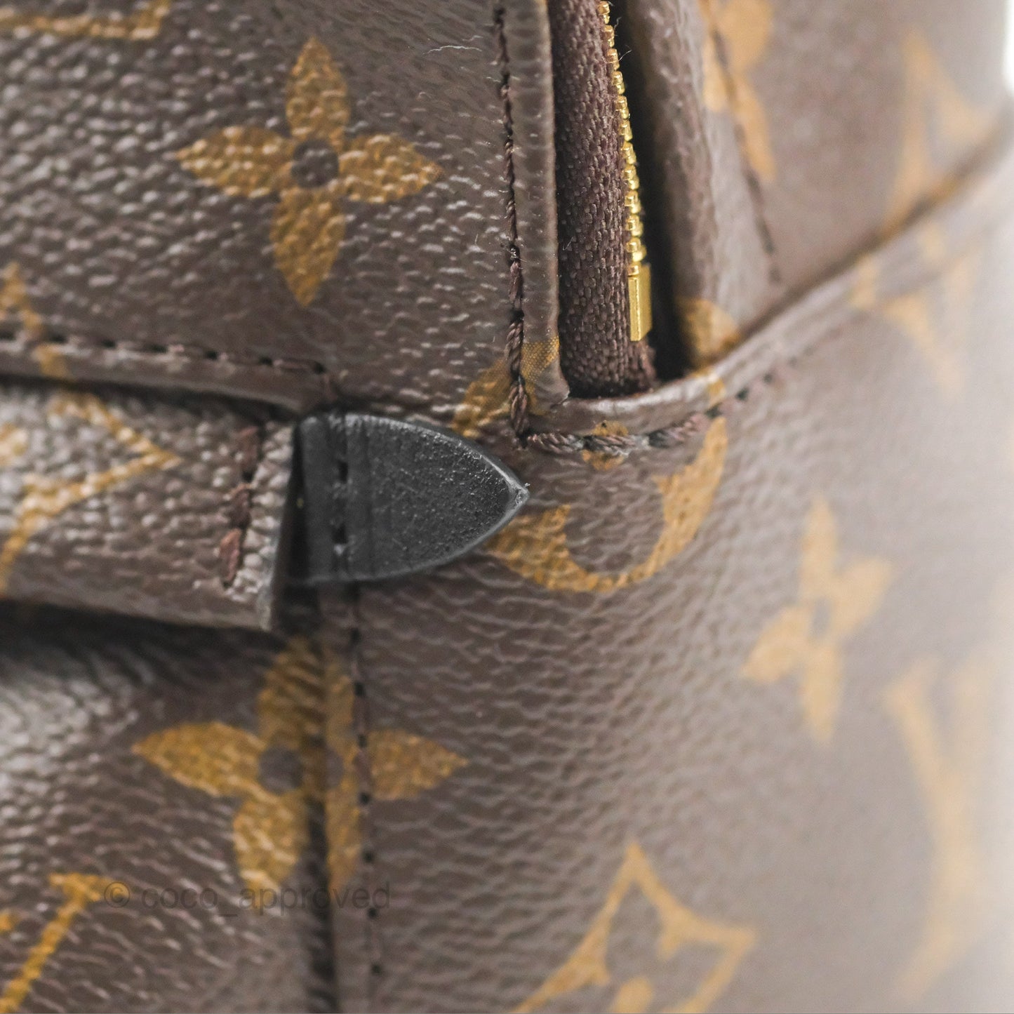 Louis Vuitton Monogram Mini Palm Springs Backpack⁣
