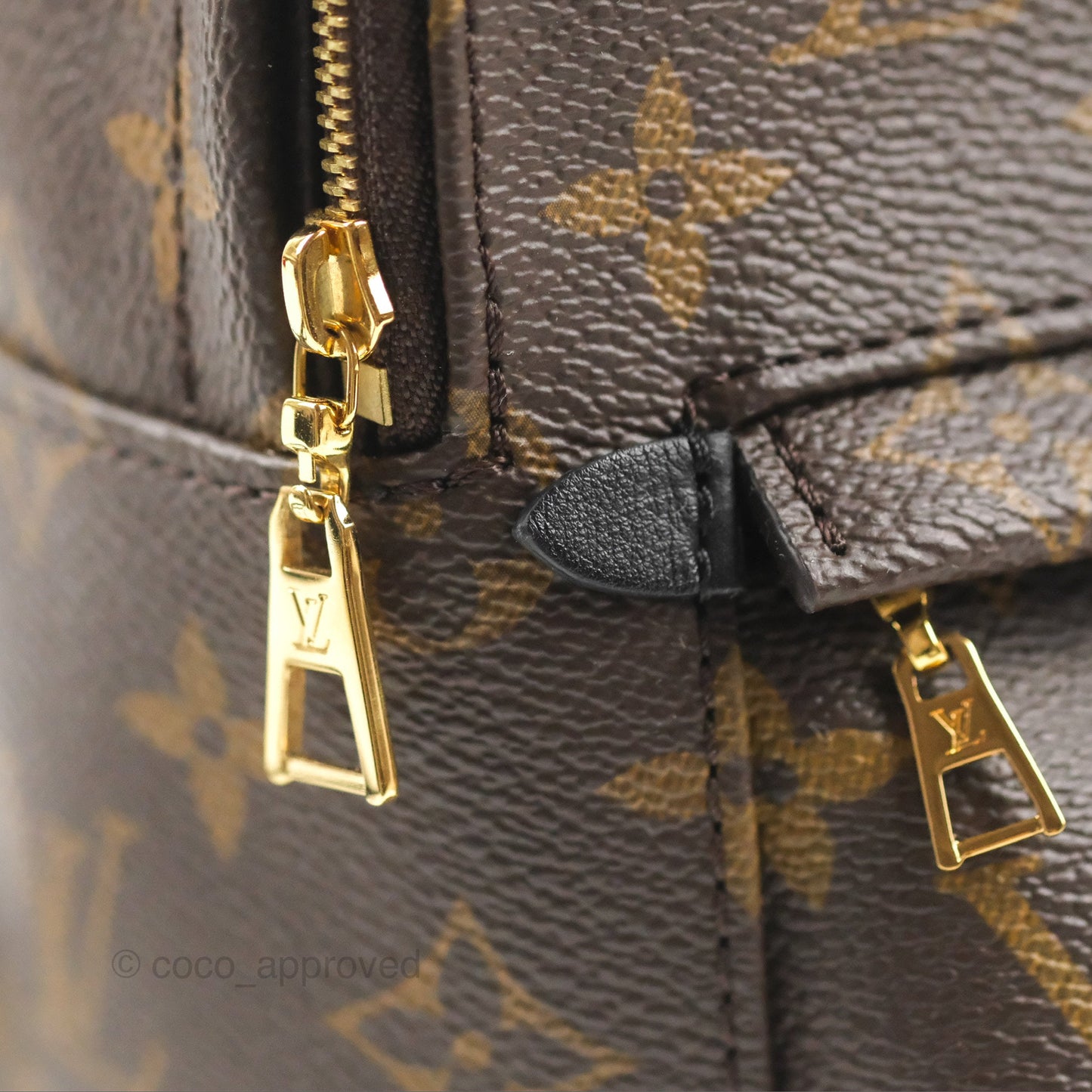 Louis Vuitton Monogram Mini Palm Springs Backpack⁣