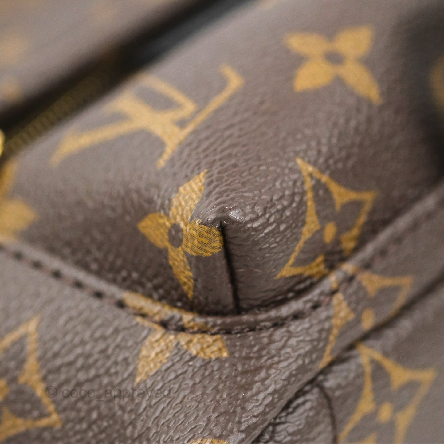 Louis Vuitton Monogram Mini Palm Springs Backpack⁣