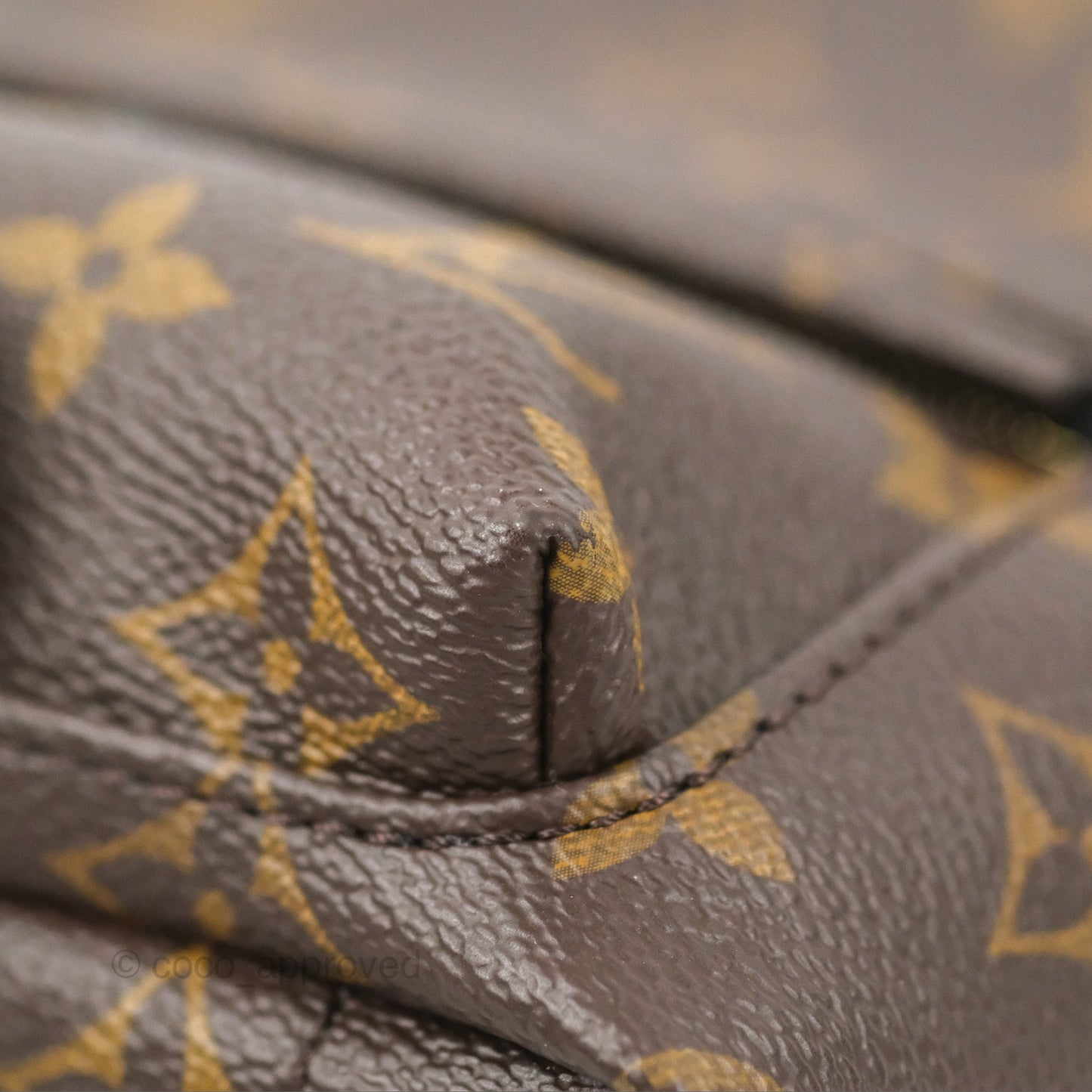Louis Vuitton Monogram Mini Palm Springs Backpack⁣