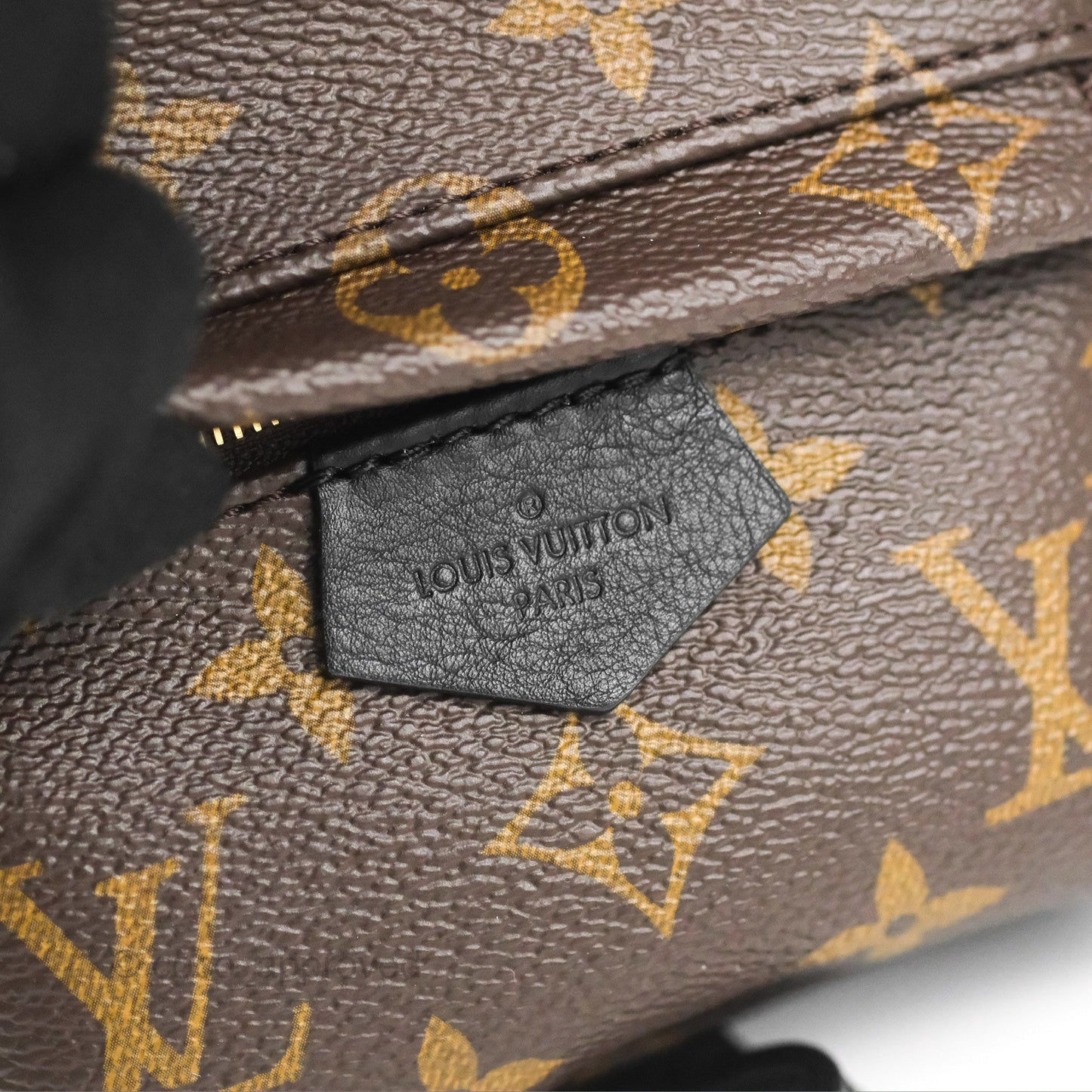 Louis Vuitton Monogram Mini Palm Springs Backpack⁣