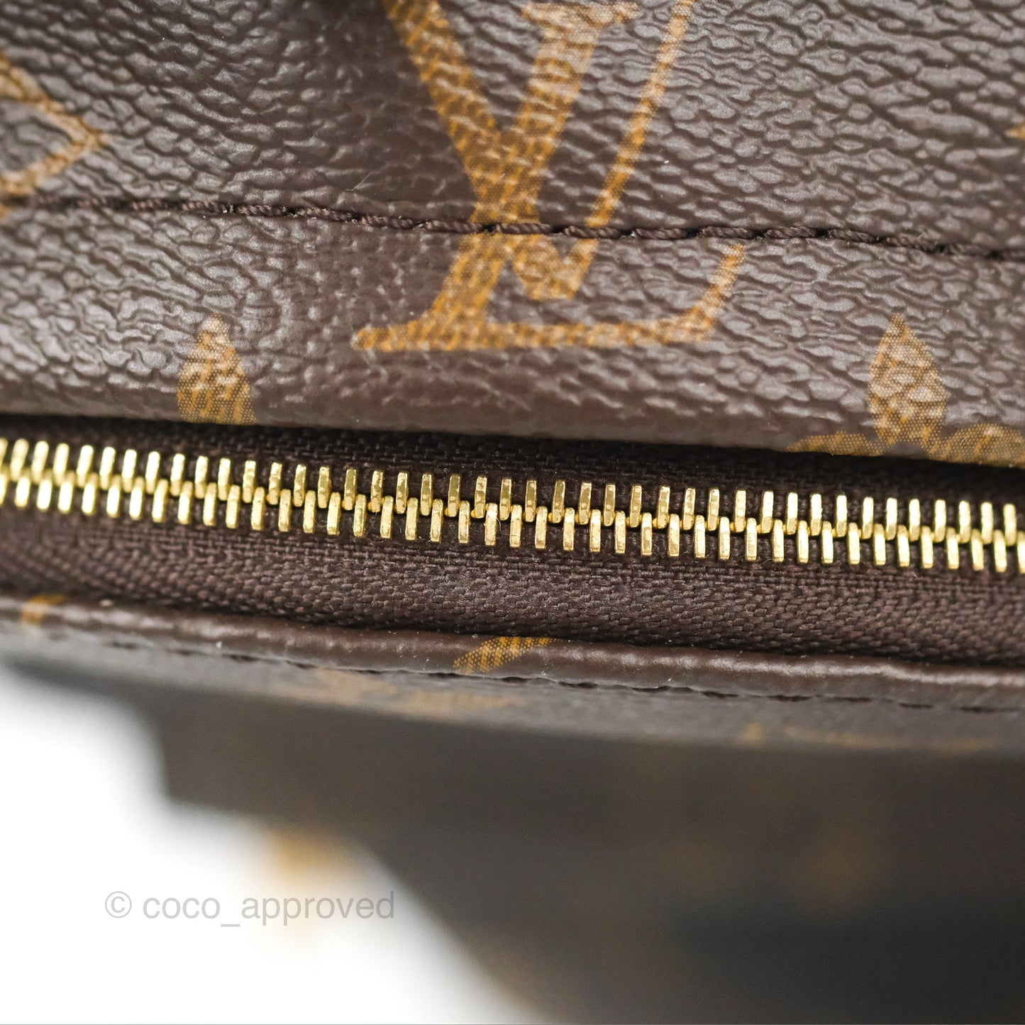 Louis Vuitton Monogram Mini Palm Springs Backpack⁣