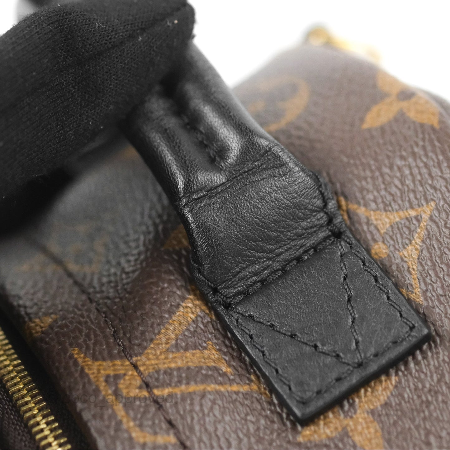 Louis Vuitton Monogram Mini Palm Springs Backpack⁣