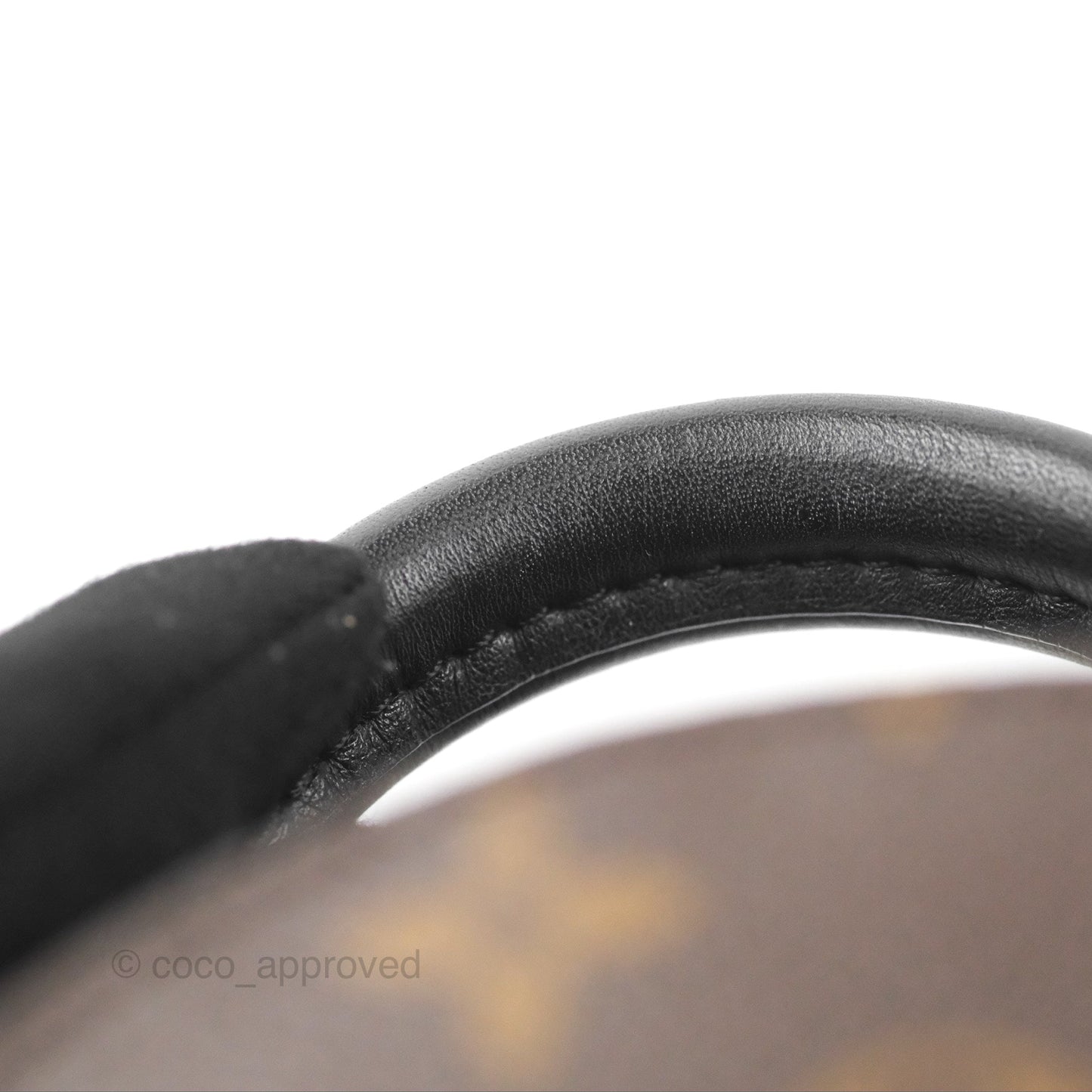 Louis Vuitton Monogram Mini Palm Springs Backpack⁣