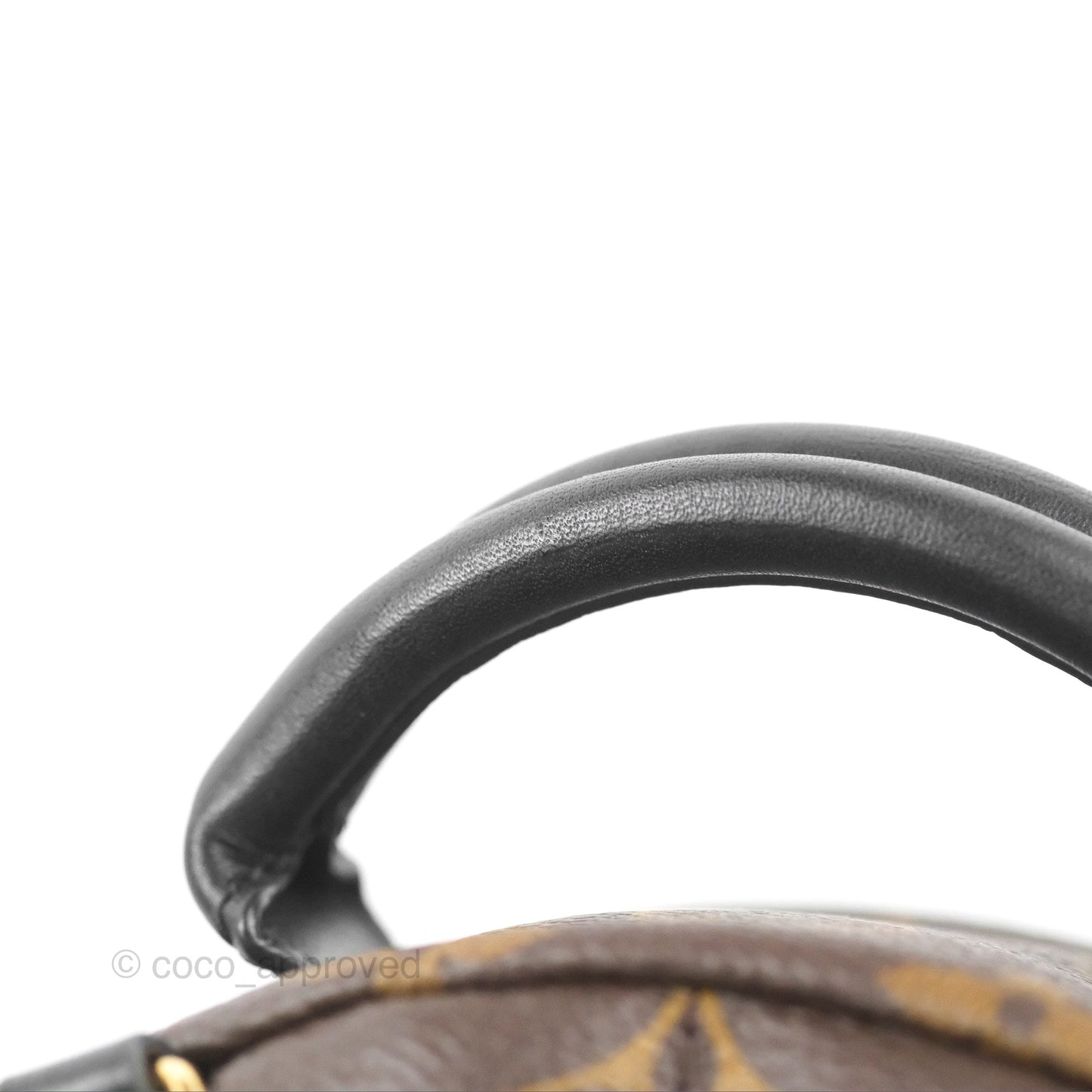 Louis Vuitton Monogram Mini Palm Springs Backpack⁣