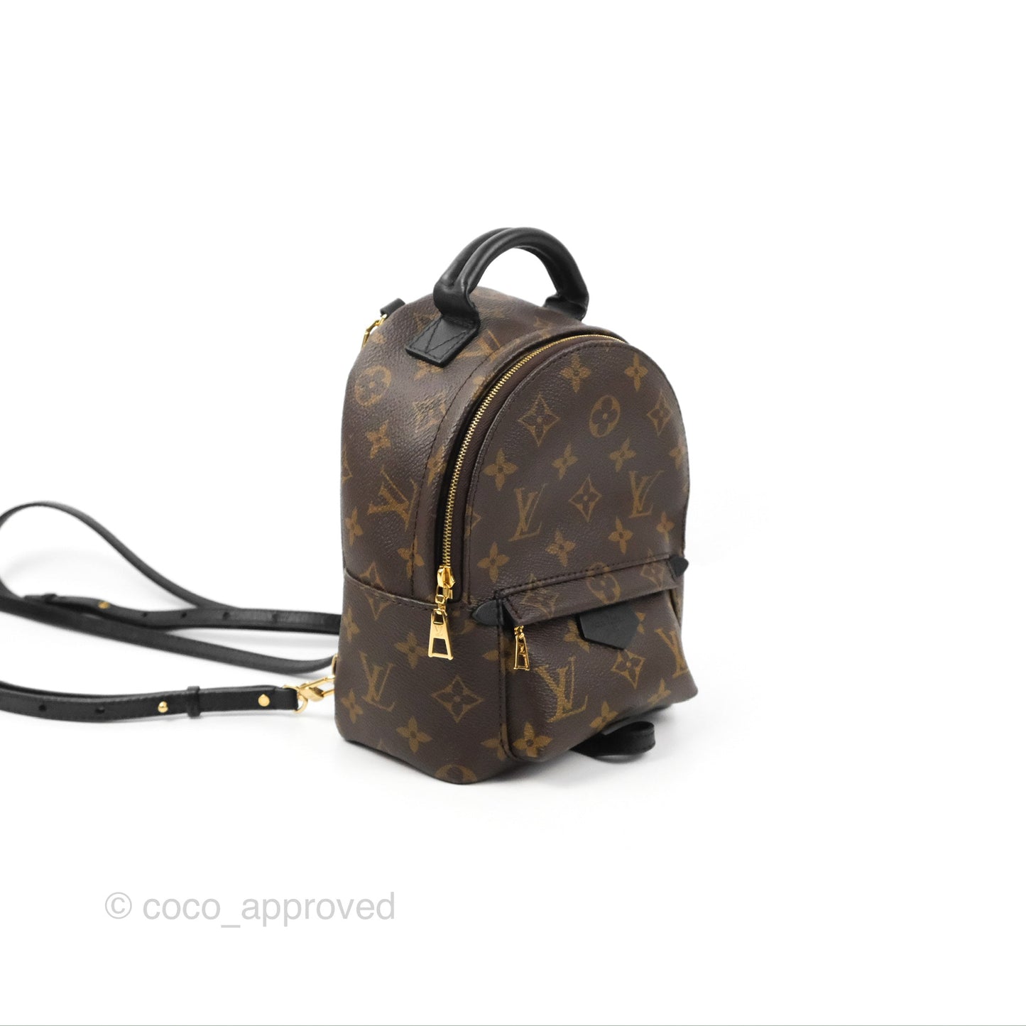 Louis Vuitton Monogram Mini Palm Springs Backpack⁣