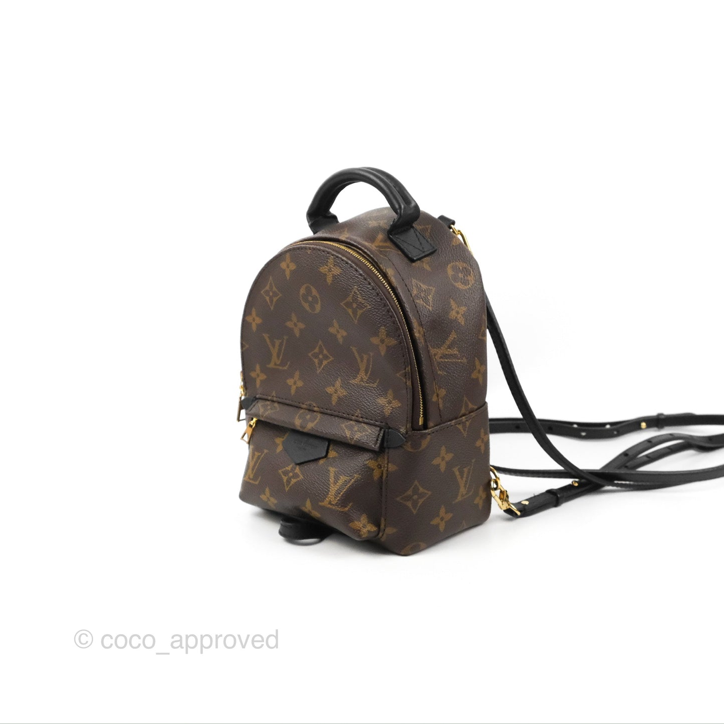 Louis Vuitton Monogram Mini Palm Springs Backpack⁣