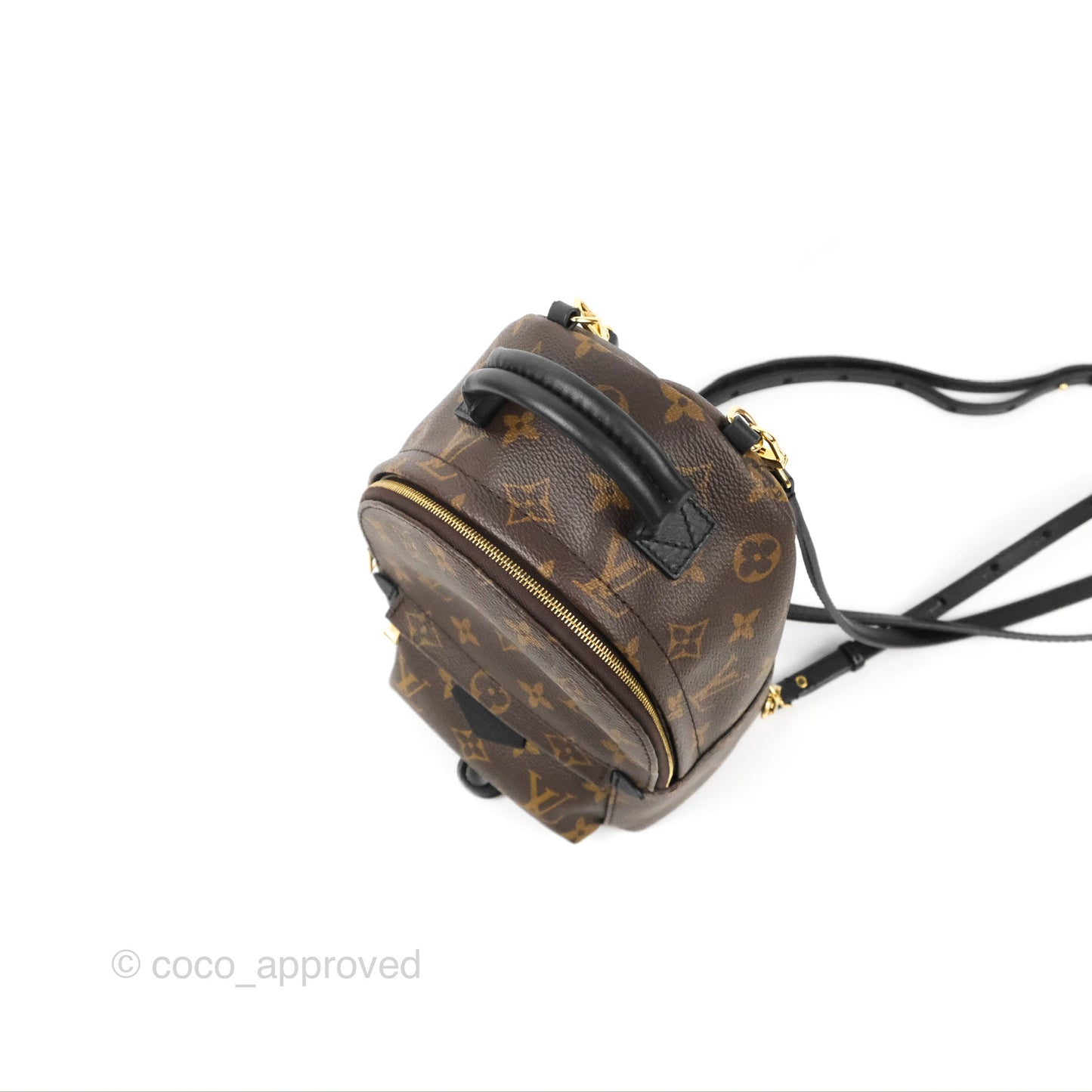 Louis Vuitton Monogram Mini Palm Springs Backpack⁣