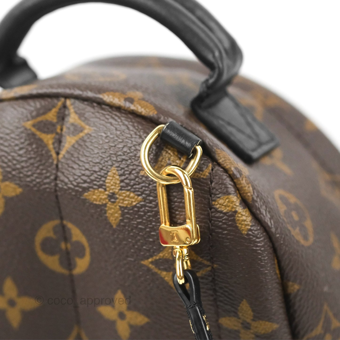 Louis Vuitton Monogram Mini Palm Springs Backpack⁣