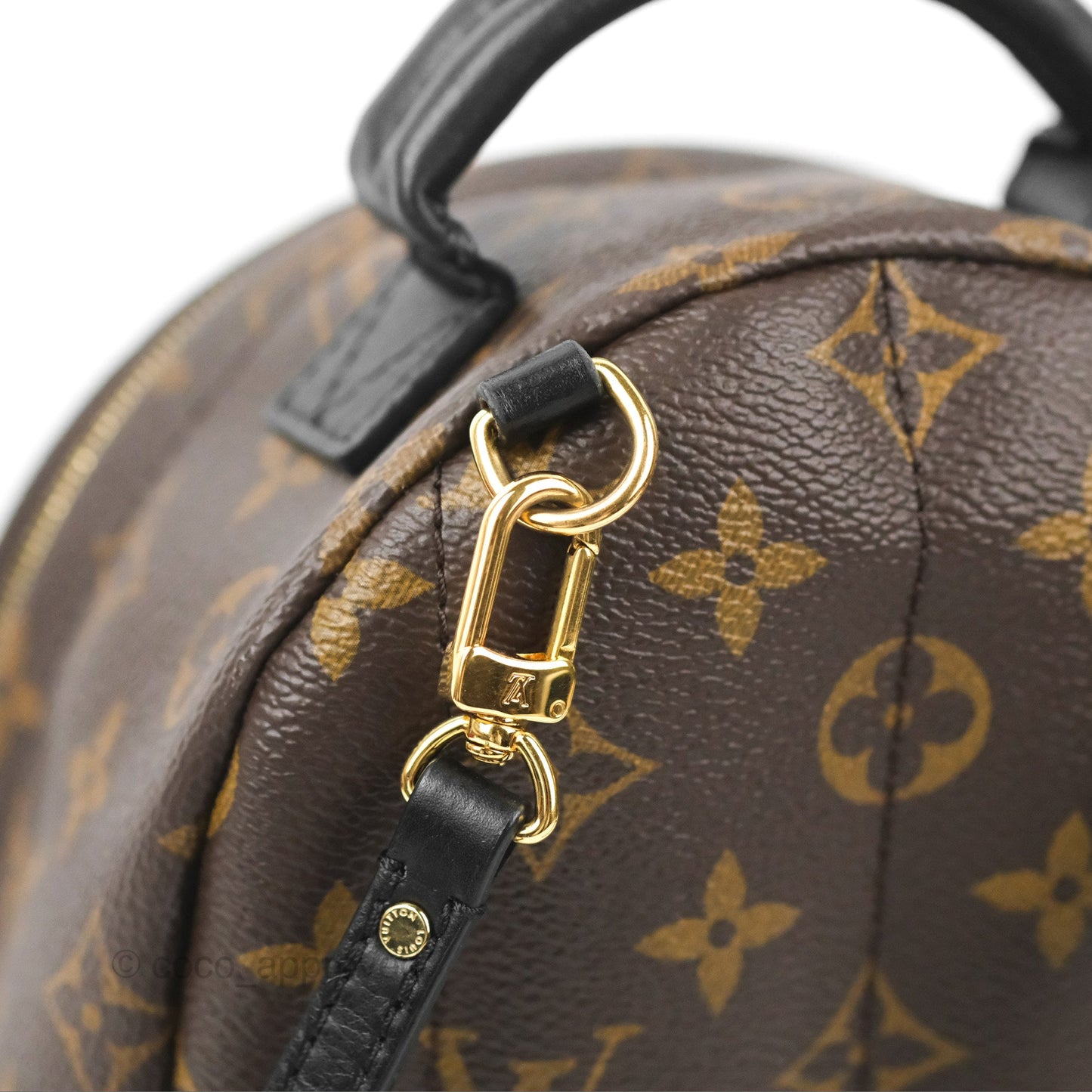 Louis Vuitton Monogram Mini Palm Springs Backpack⁣