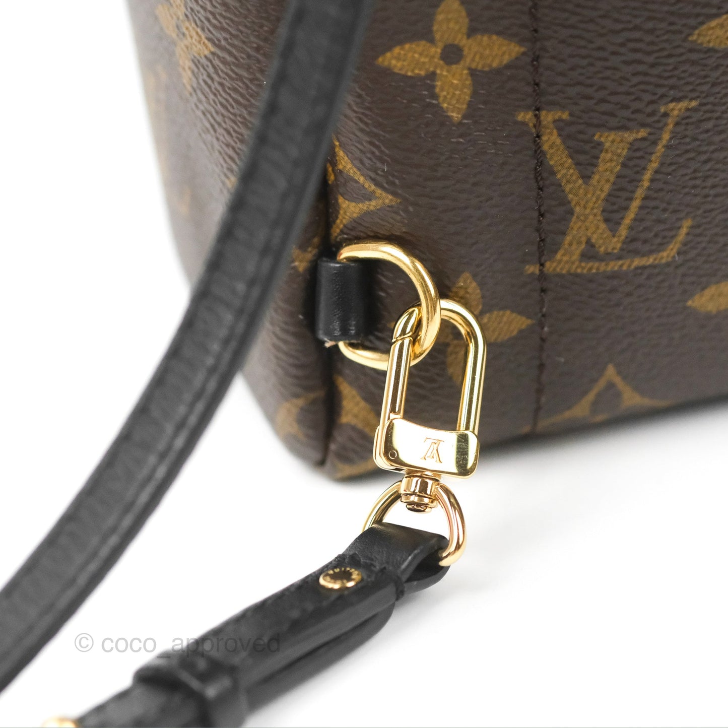 Louis Vuitton Monogram Mini Palm Springs Backpack⁣