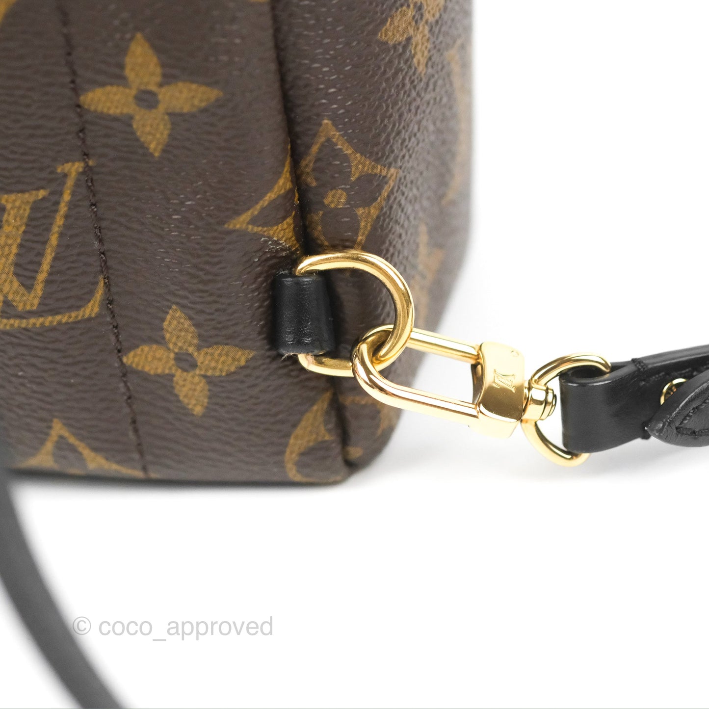 Louis Vuitton Monogram Mini Palm Springs Backpack⁣