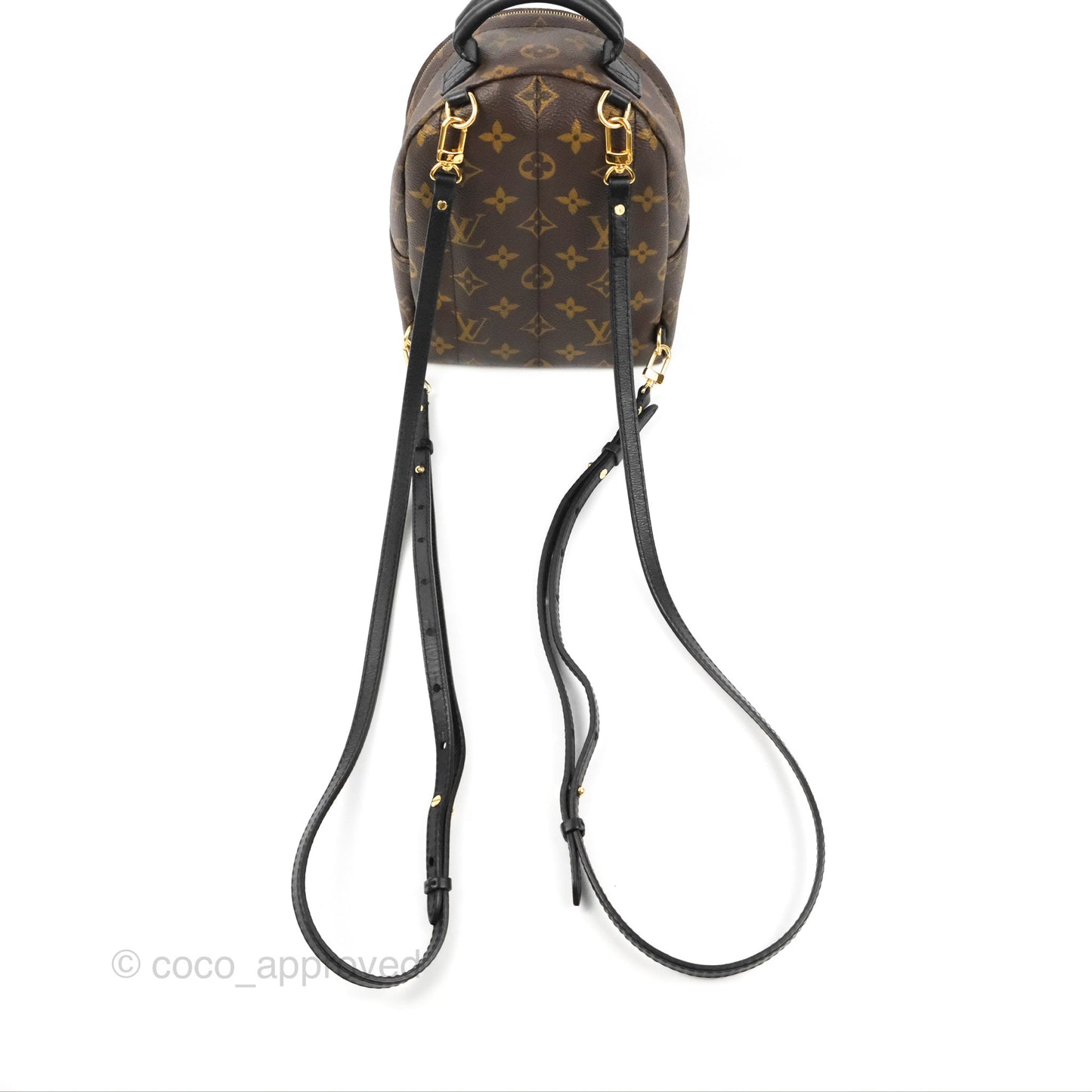 Louis Vuitton Monogram Mini Palm Springs Backpack⁣