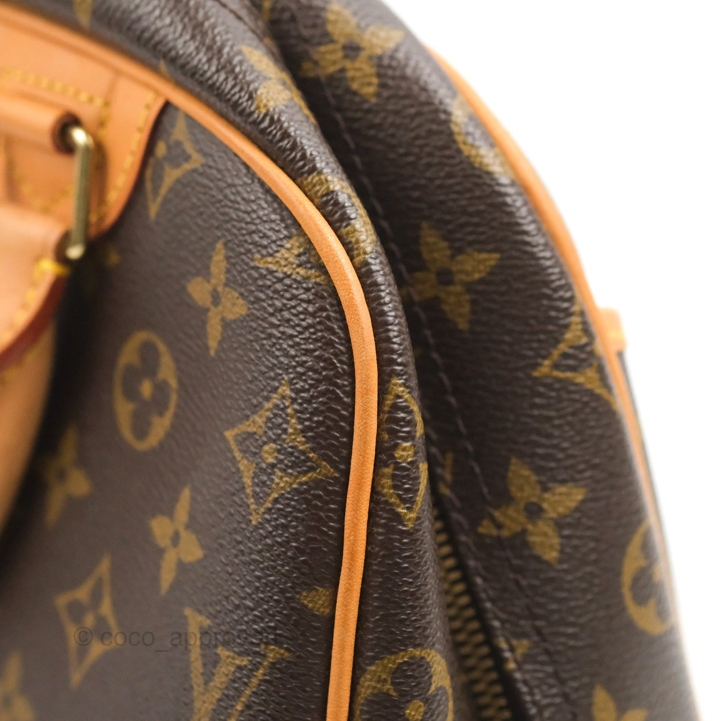 Louis Vuitton Trouville Monogram