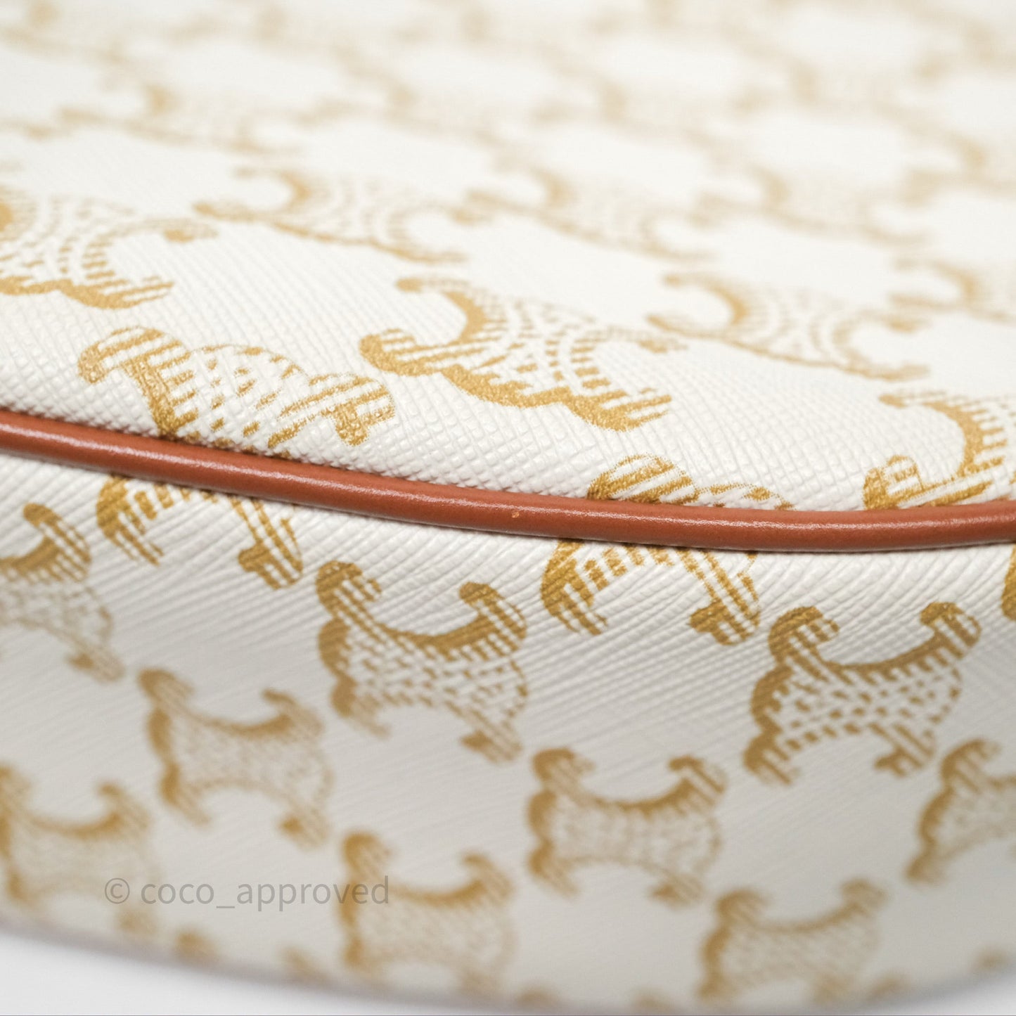 Celine Ava Bag In Triomphe Canvas Calfskin White