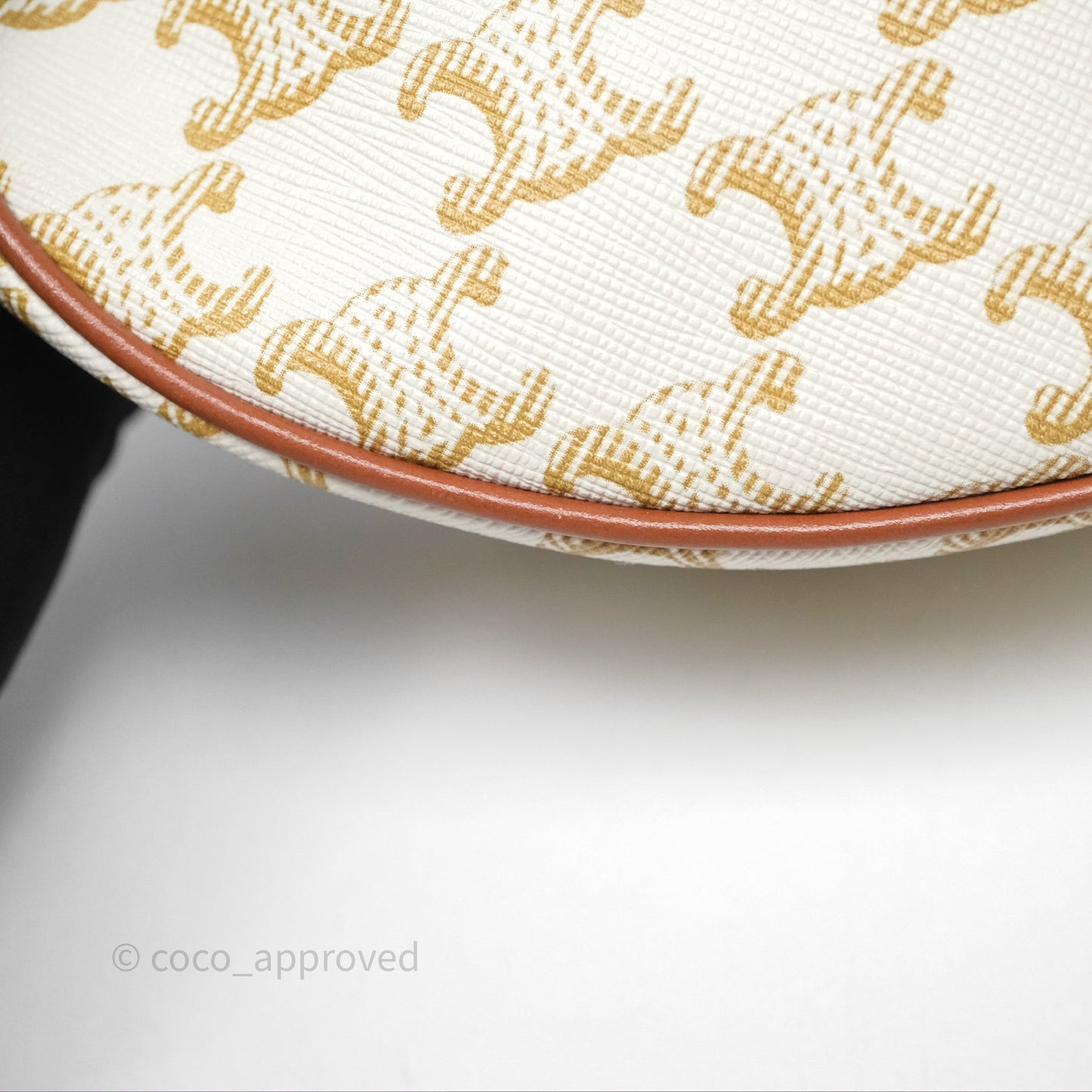 Celine Ava Bag In Triomphe Canvas Calfskin White