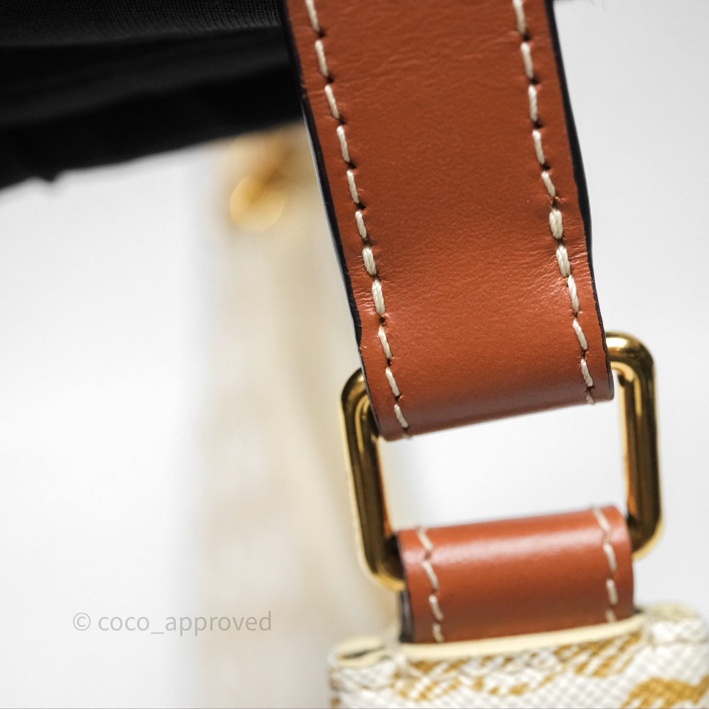 Celine Ava Bag In Triomphe Canvas Calfskin White