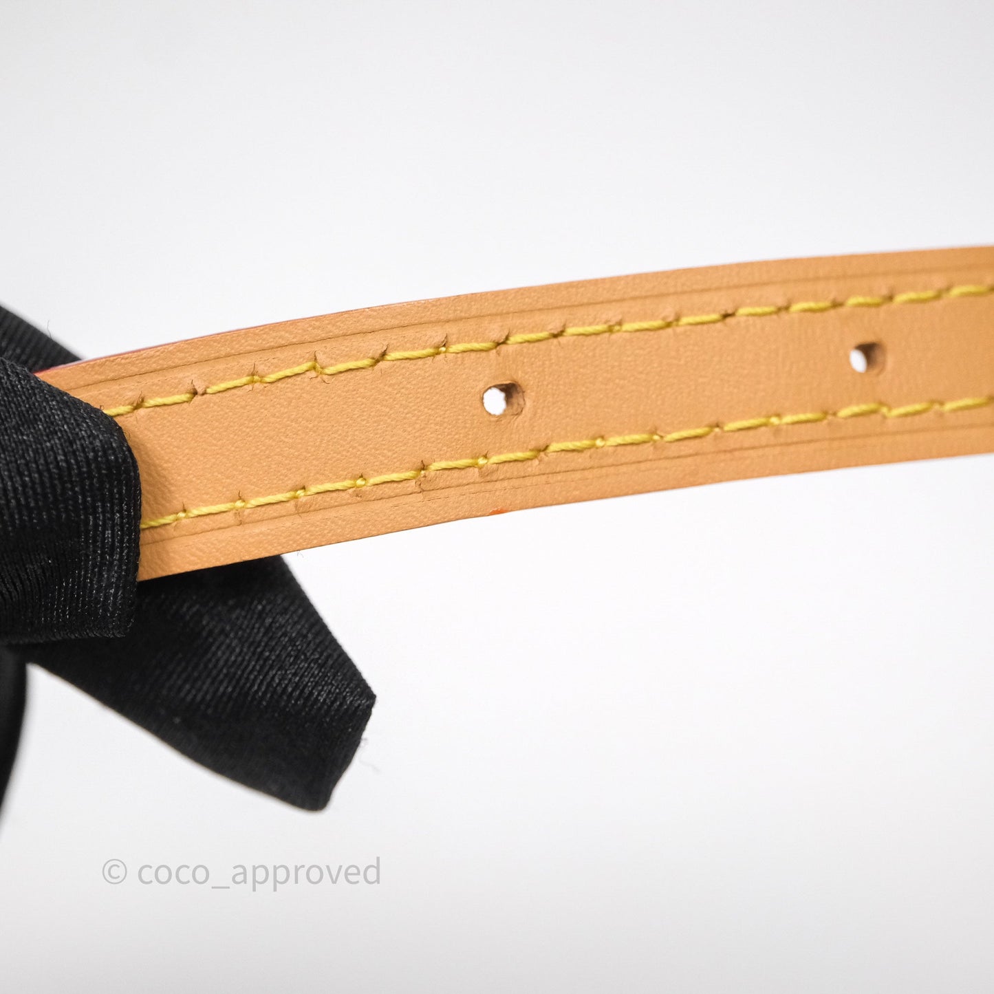 Louis Vuitton Nano Speedy Monogram
