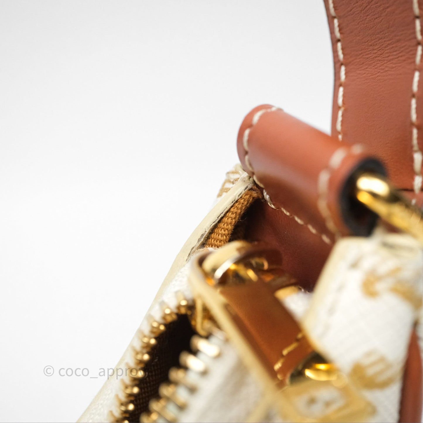 Celine Ava Bag In Triomphe Canvas Calfskin White