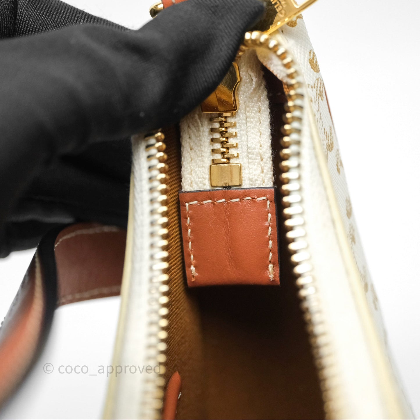 Celine Ava Bag In Triomphe Canvas Calfskin White
