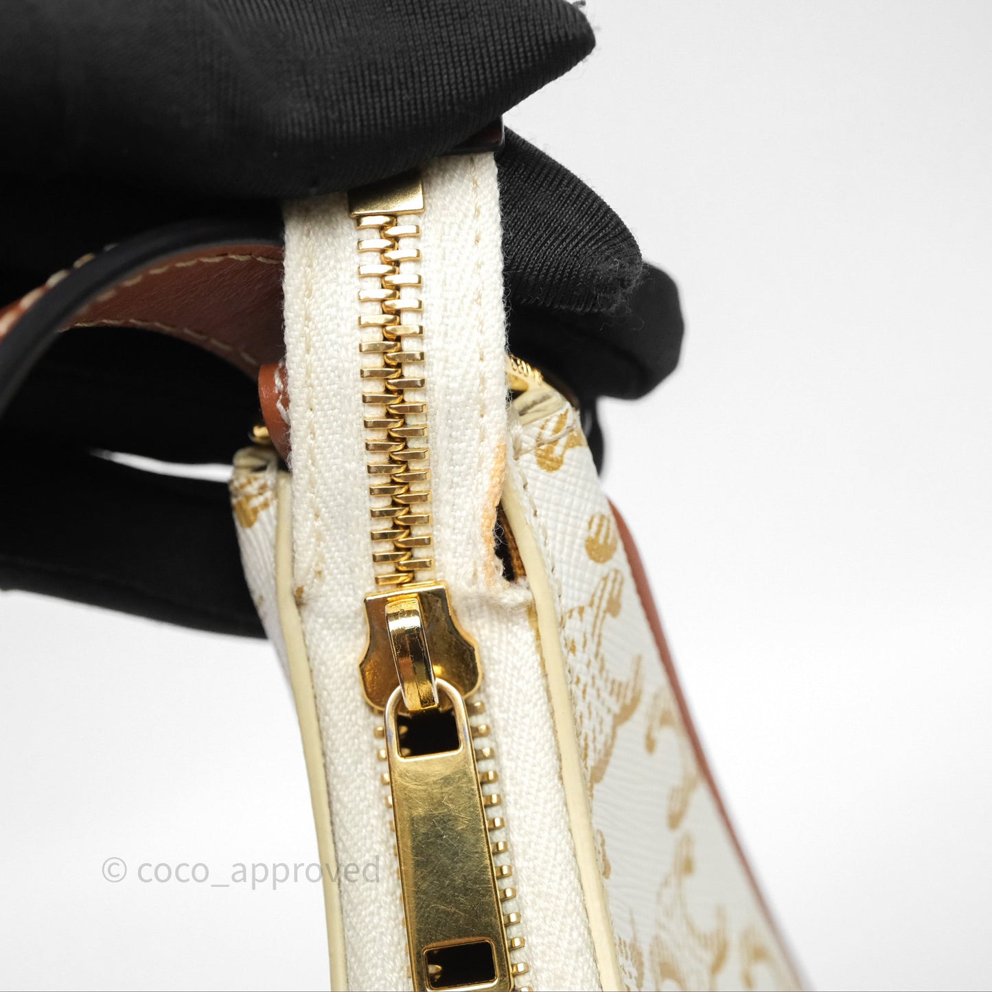 Celine Ava Bag In Triomphe Canvas Calfskin White