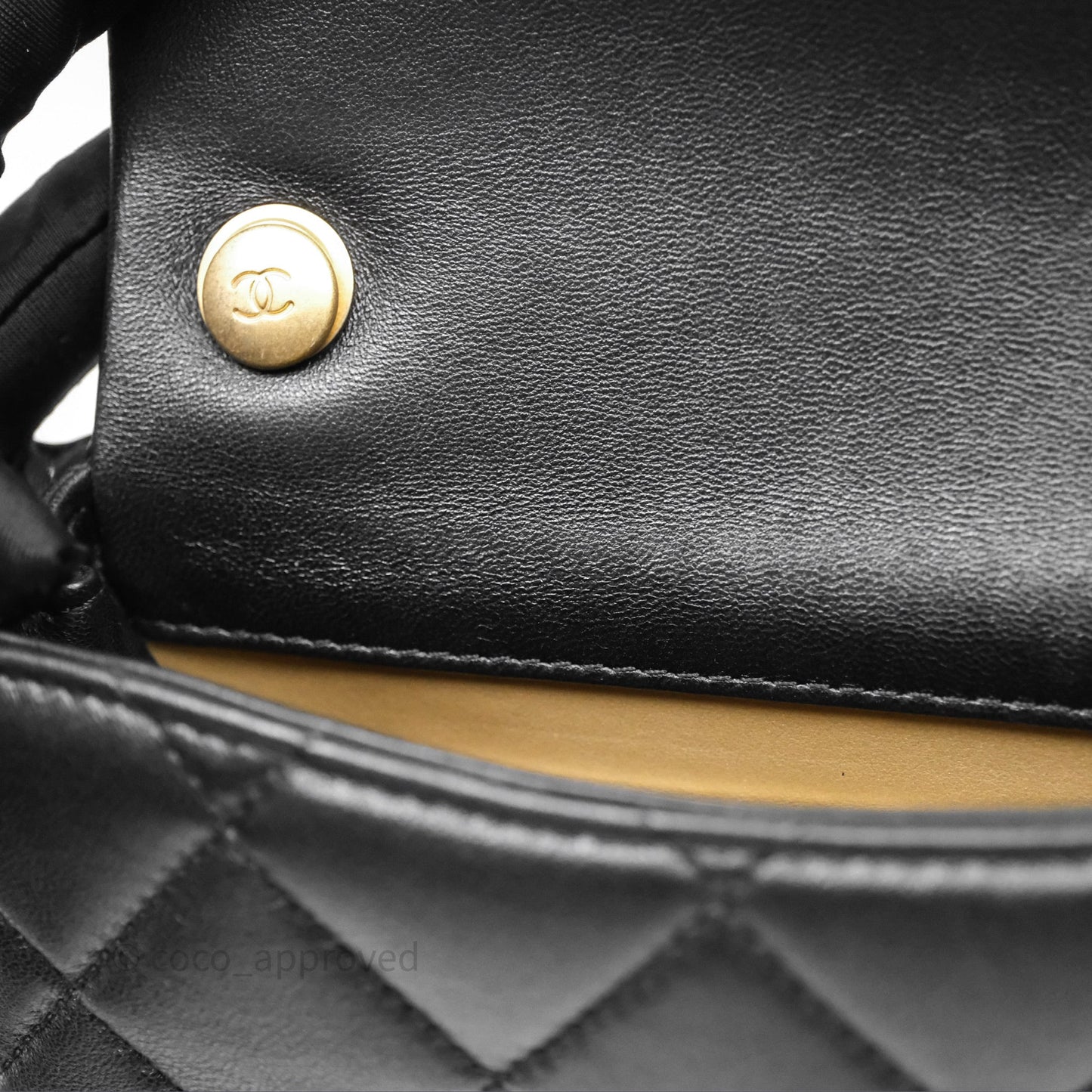 Chanel Mini Flap Bag With Pearl Black Lambskin Aged Gold Hardware