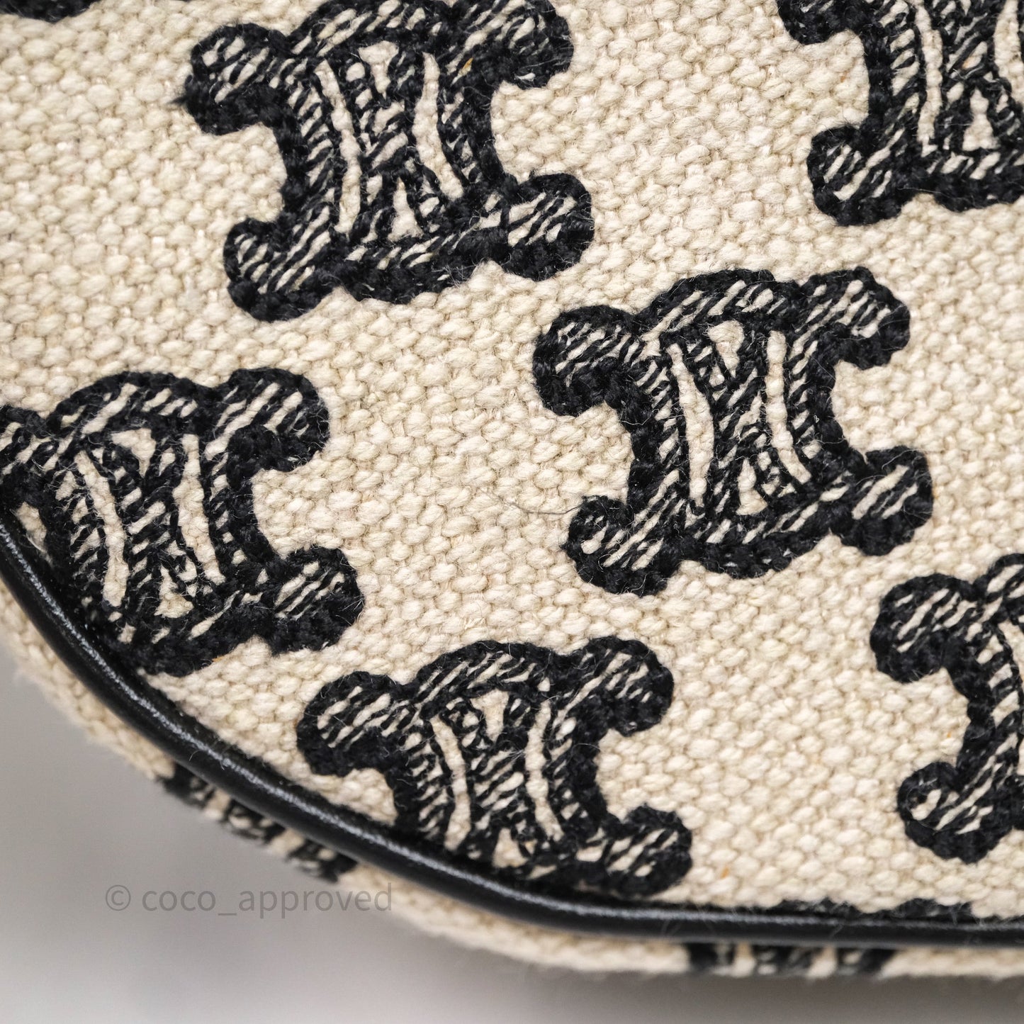 Celine Mini Ava Bag In Triomphe Canvas Black