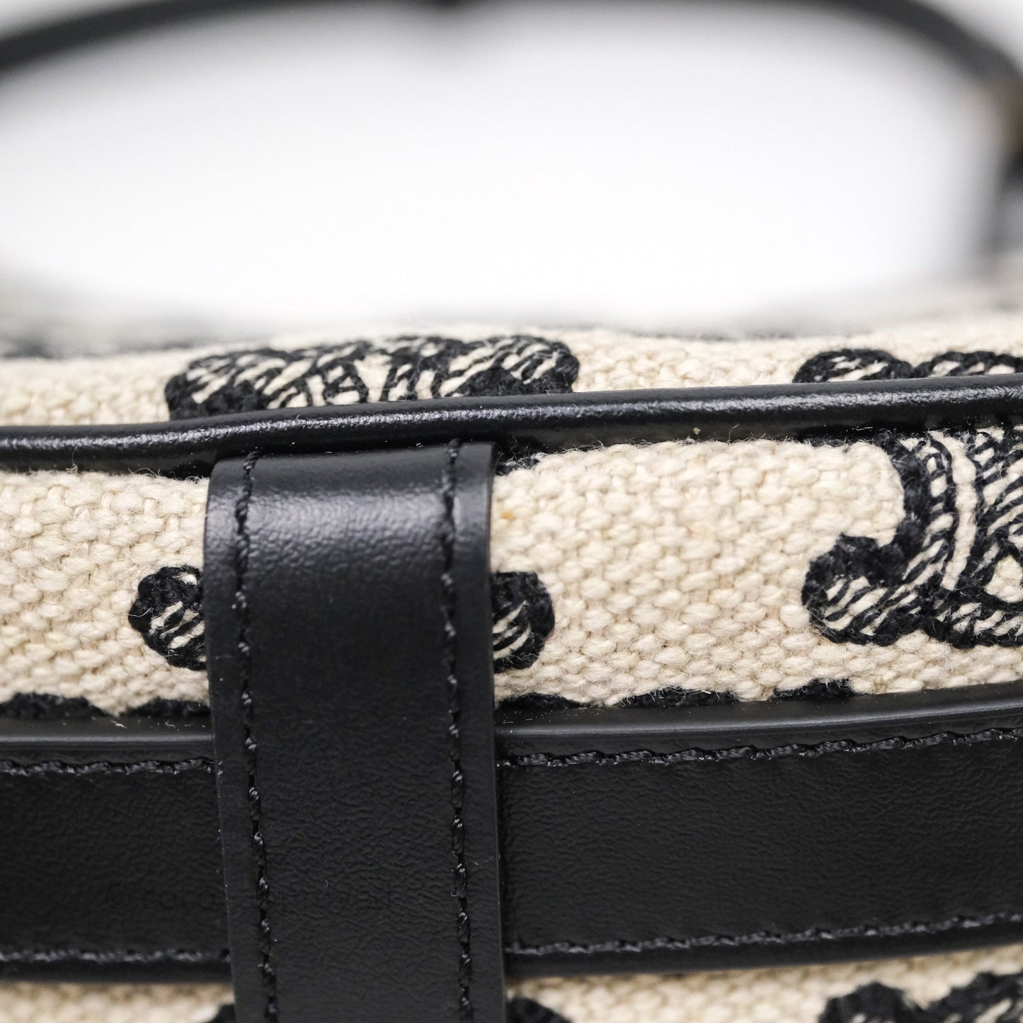 Celine Mini Ava Bag In Triomphe Canvas Black