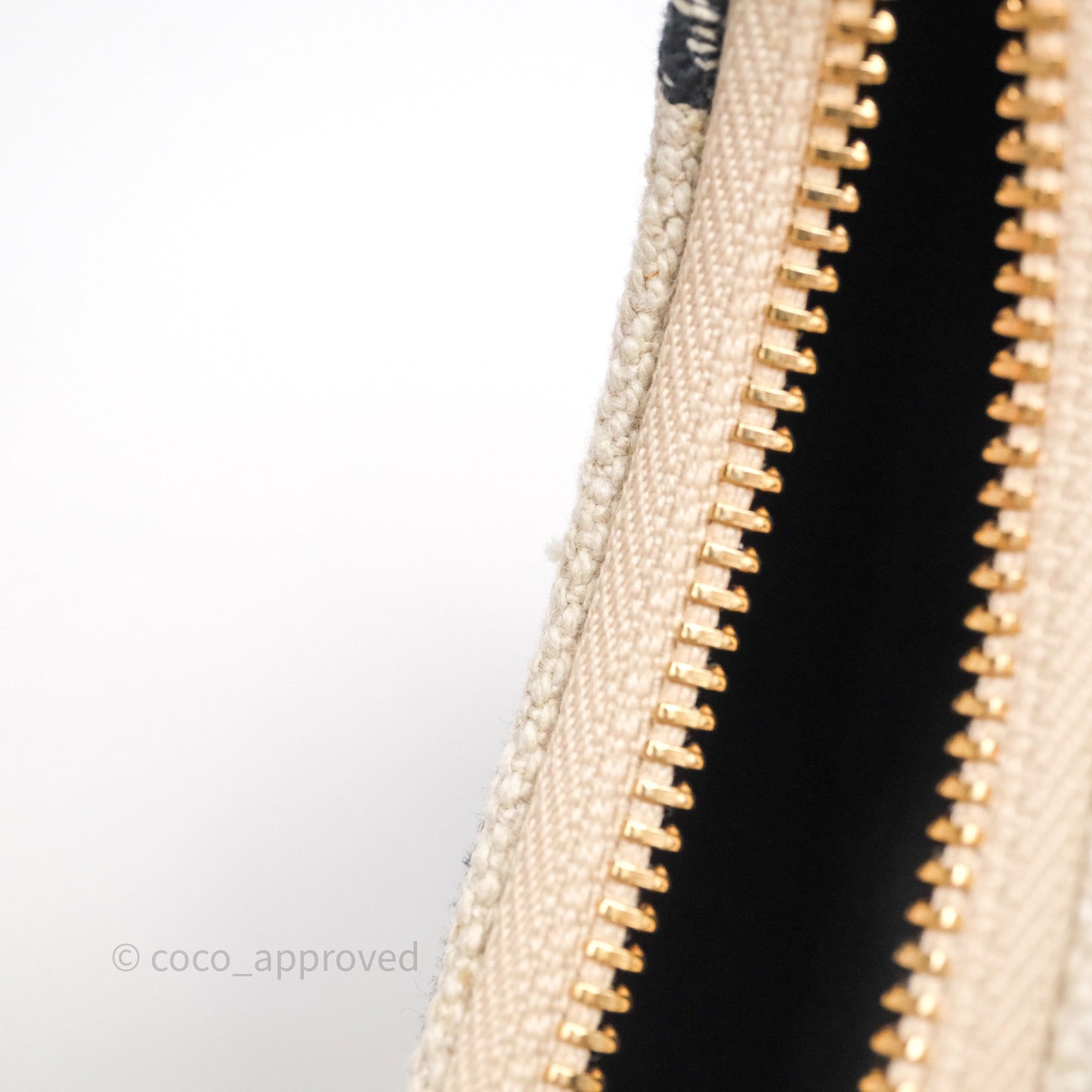Celine Mini Ava Bag In Triomphe Canvas Black