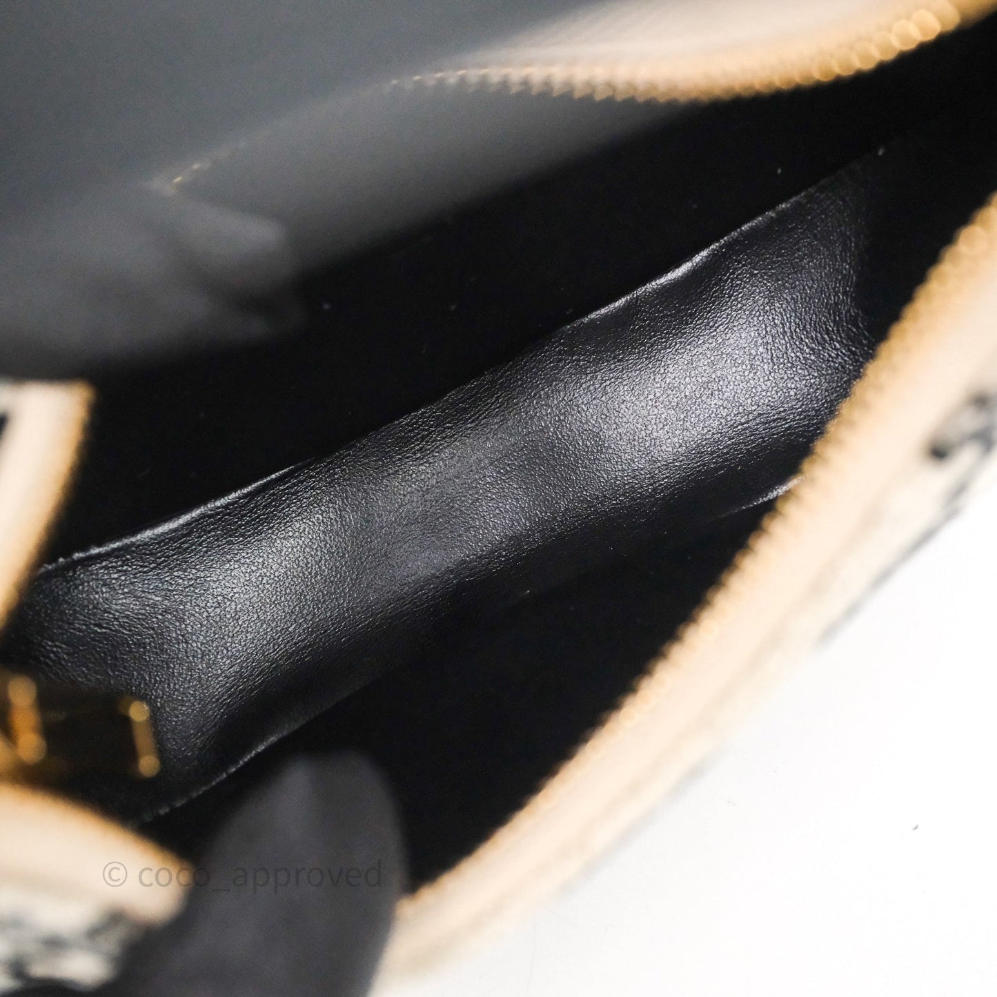 Celine Mini Ava Bag In Triomphe Canvas Black