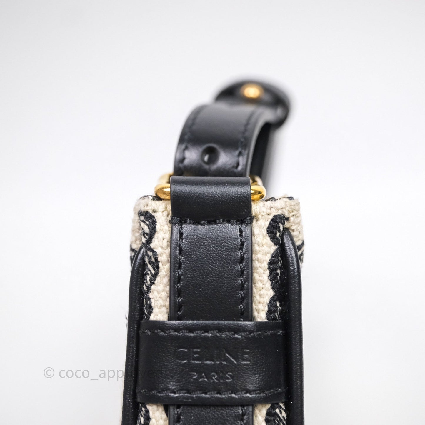 Celine Mini Ava Bag In Triomphe Canvas Black