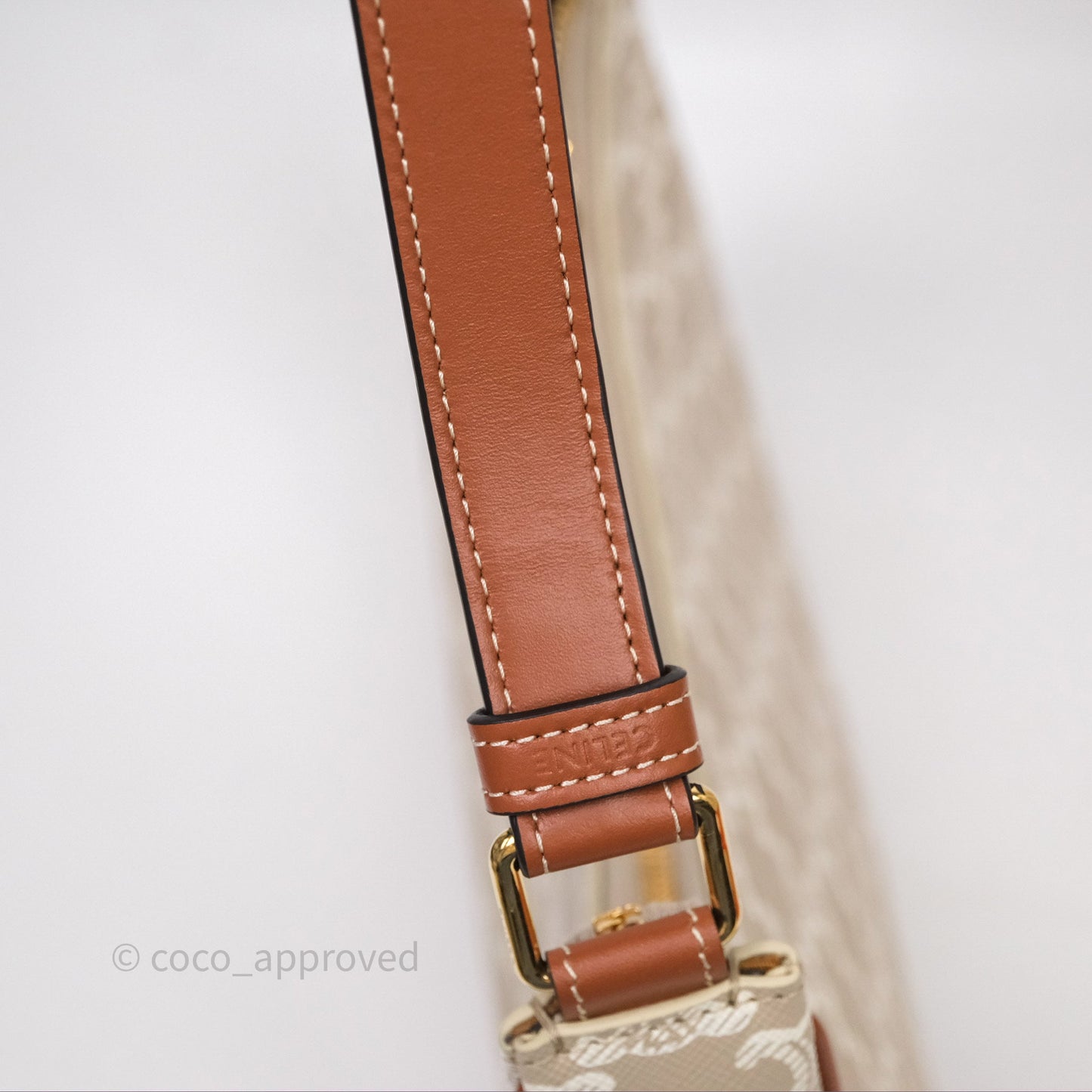 Celine Ava Bag In Triomphe Canvas Calfskin Grege