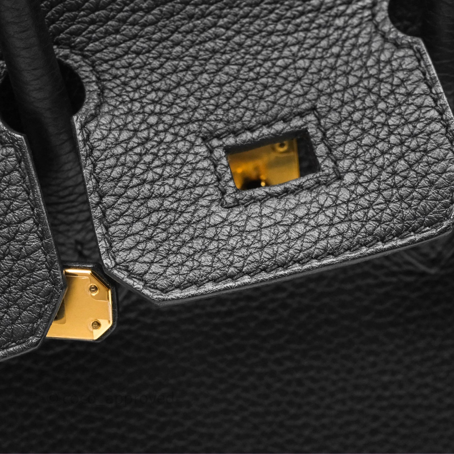Hermes Birkin 25 Black Togo Gold Hardware