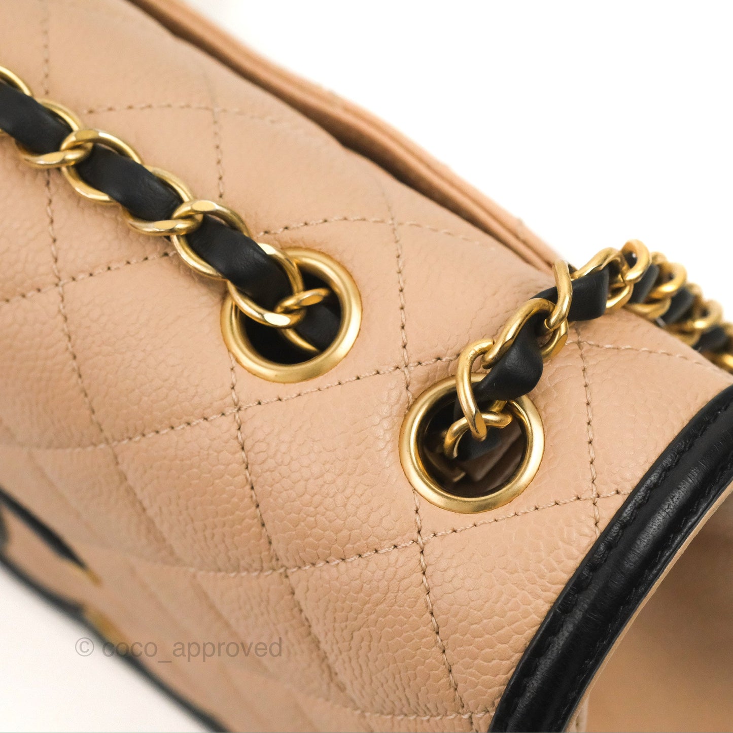 Chanel Quilted Medium CC Filigree Flap Beige Black Caviar