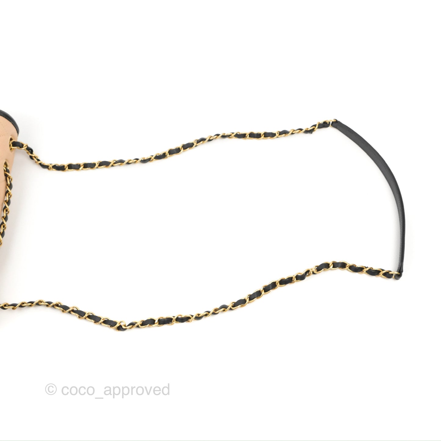 Chanel Quilted Medium CC Filigree Flap Beige Black Caviar