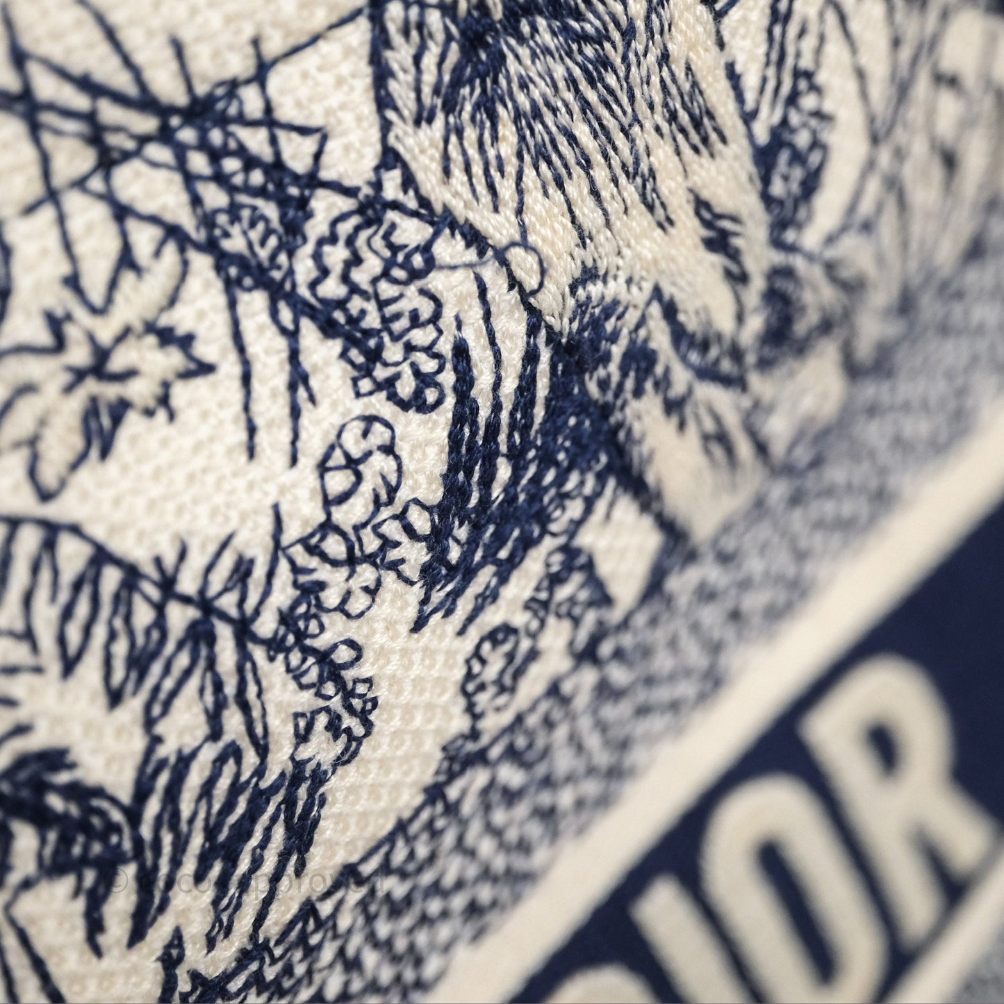 Christian Dior Medium (Old Small) Embroidered Toile De Jouy Canvas Book Tote Blue