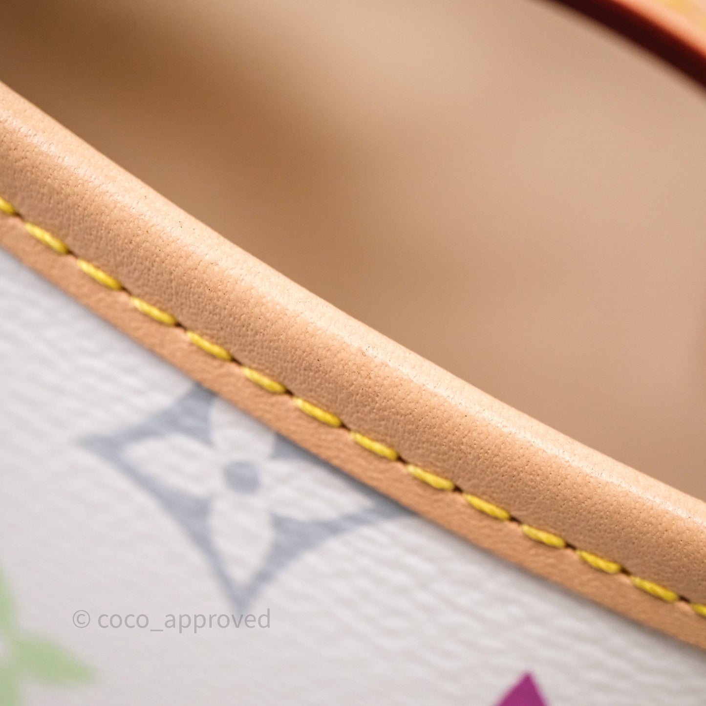 Louis Vuitton x Takashi Murakami CarryAll PM White Rainbow