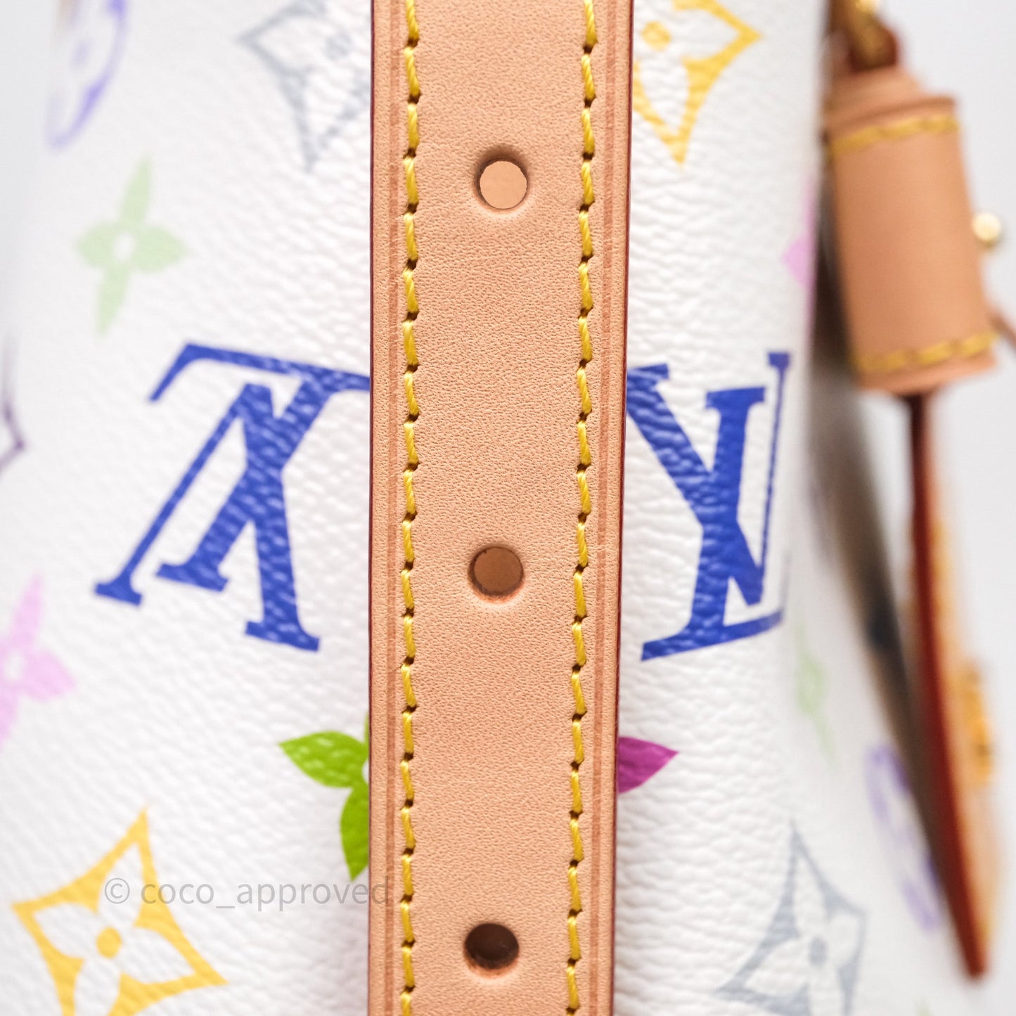 Louis Vuitton x Takashi Murakami CarryAll PM White Rainbow