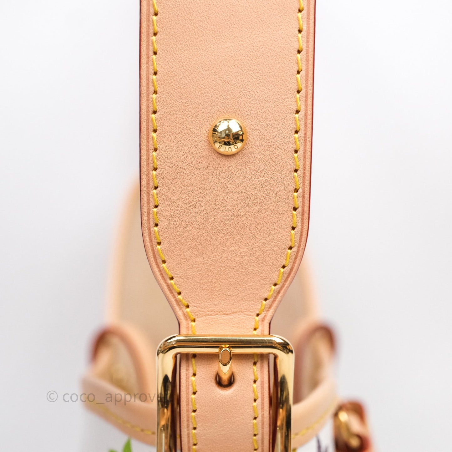 Louis Vuitton x Takashi Murakami CarryAll PM White Rainbow