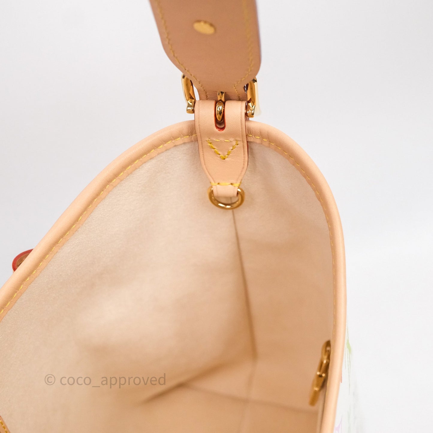 Louis Vuitton x Takashi Murakami CarryAll PM White Rainbow