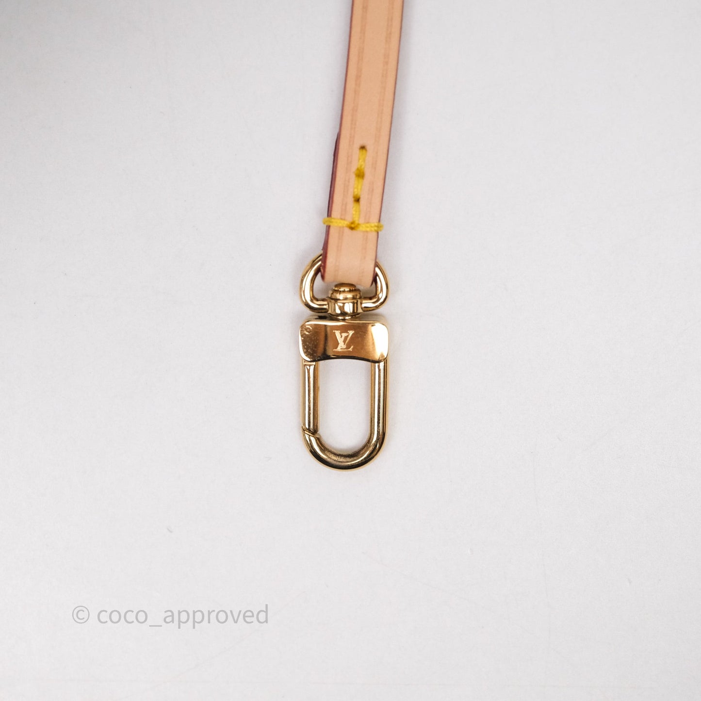 Louis Vuitton x Takashi Murakami CarryAll PM White Rainbow