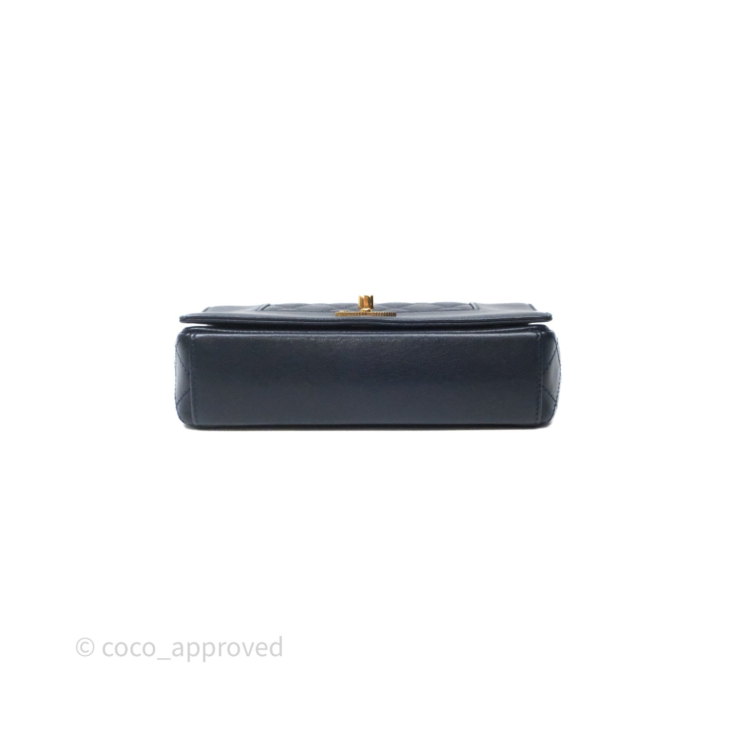 Chanel Small Vintage Mademoiselle Flap Navy Sheepskin Gold Hardware