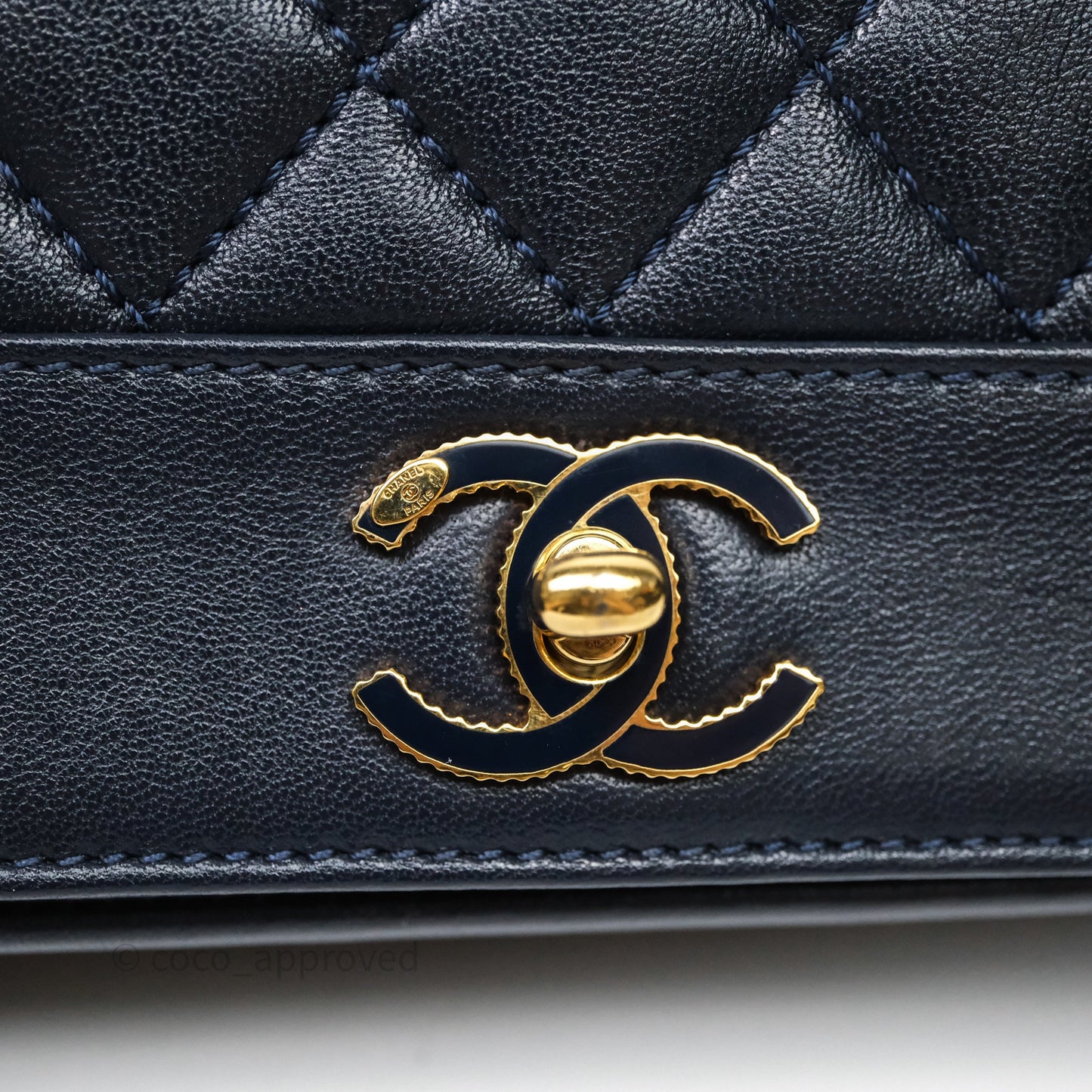 Chanel Small Vintage Mademoiselle Flap Navy Sheepskin Gold Hardware