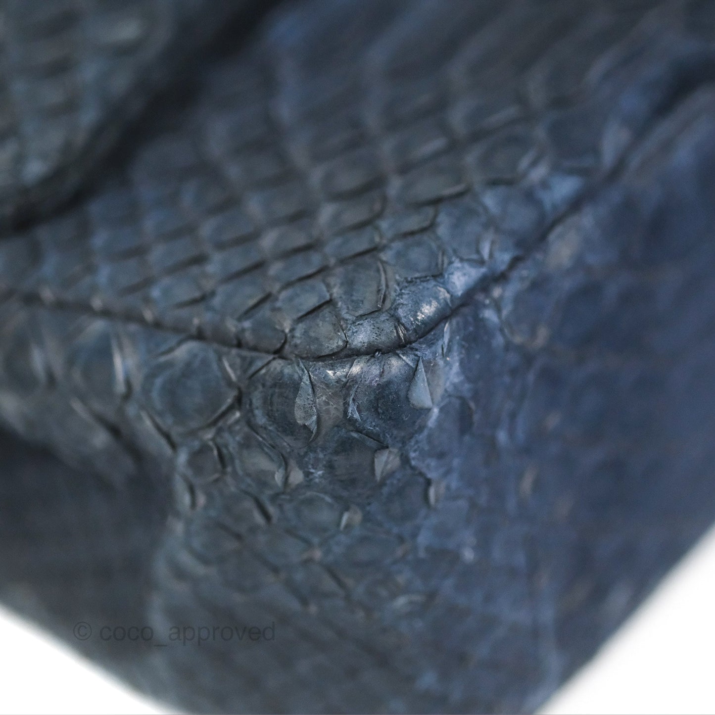 Chanel Classic M/L Medium Flap Navy Python Silver Hardware