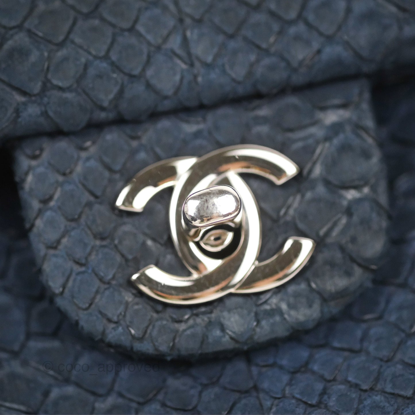 Chanel Classic M/L Medium Flap Navy Python Silver Hardware