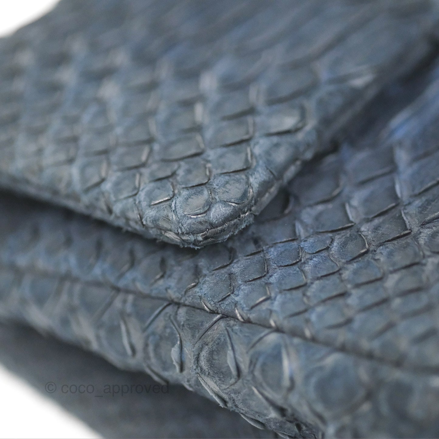 Chanel Classic M/L Medium Flap Navy Python Silver Hardware