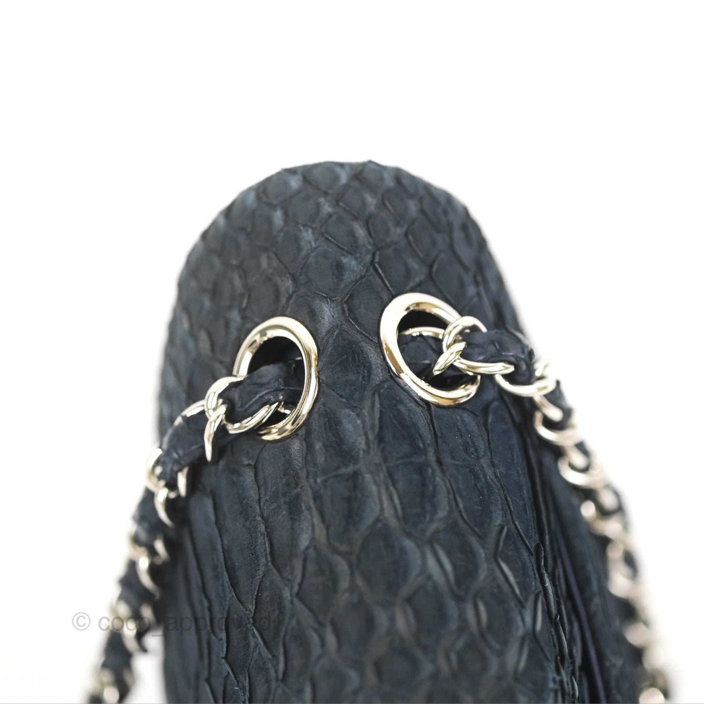 Chanel Classic M/L Medium Flap Navy Python Silver Hardware