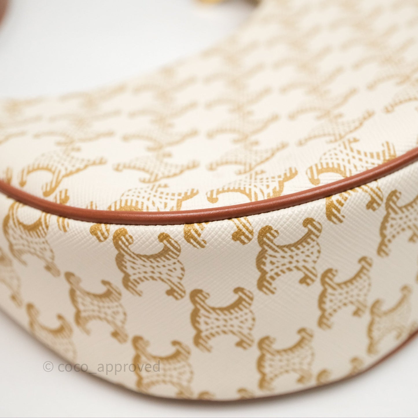 Celine Ava Bag In Triomphe Canvas Calfskin White