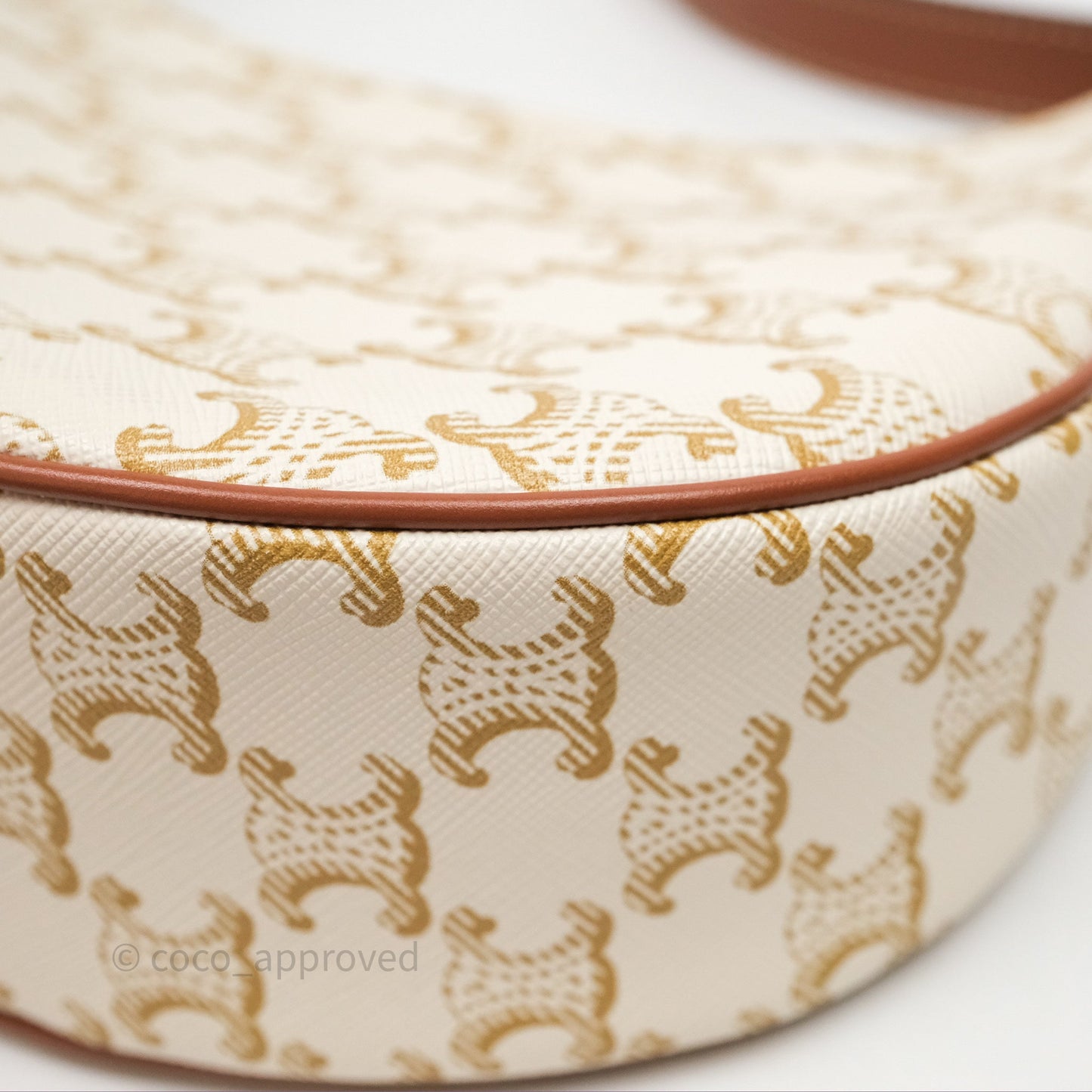 Celine Ava Bag In Triomphe Canvas Calfskin White