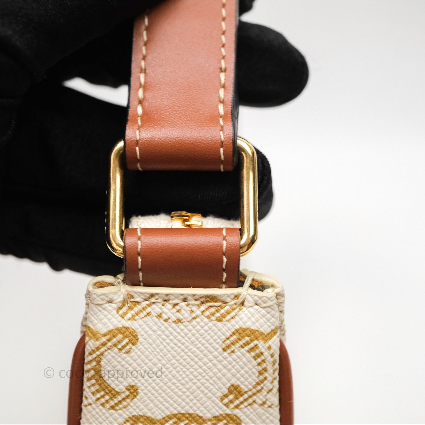 Celine Ava Bag In Triomphe Canvas Calfskin White
